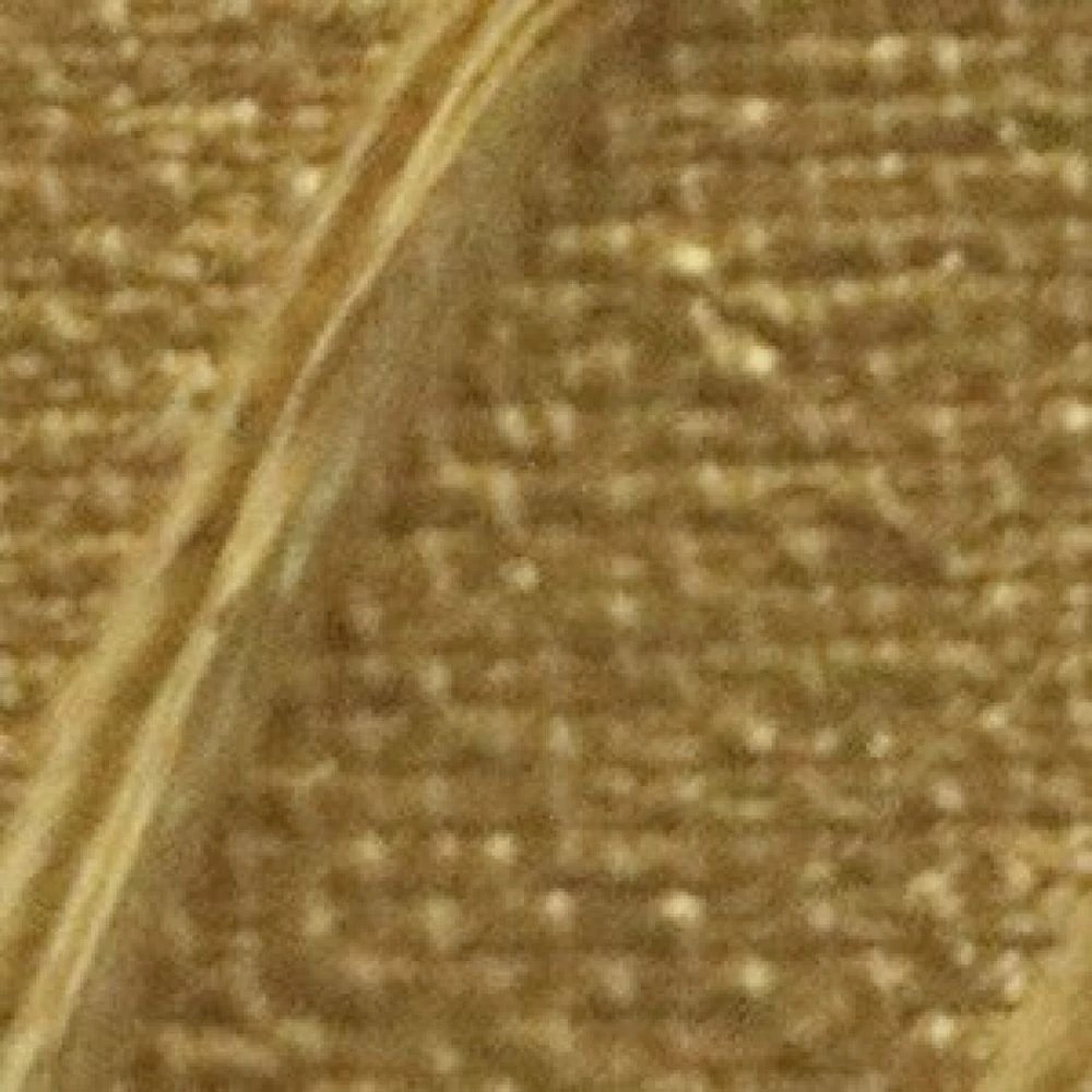 2 Pebeo Origin Acrylic Paint 120mL Gold, 2 of 2