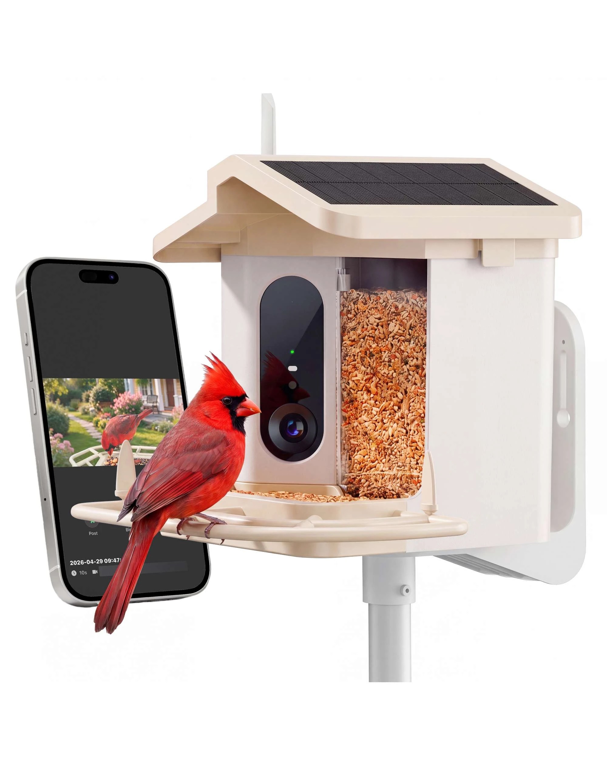 1 Advwin Smart Bird Feeder with Camera Solar Powered 4K HD Live Video, 1 of 10