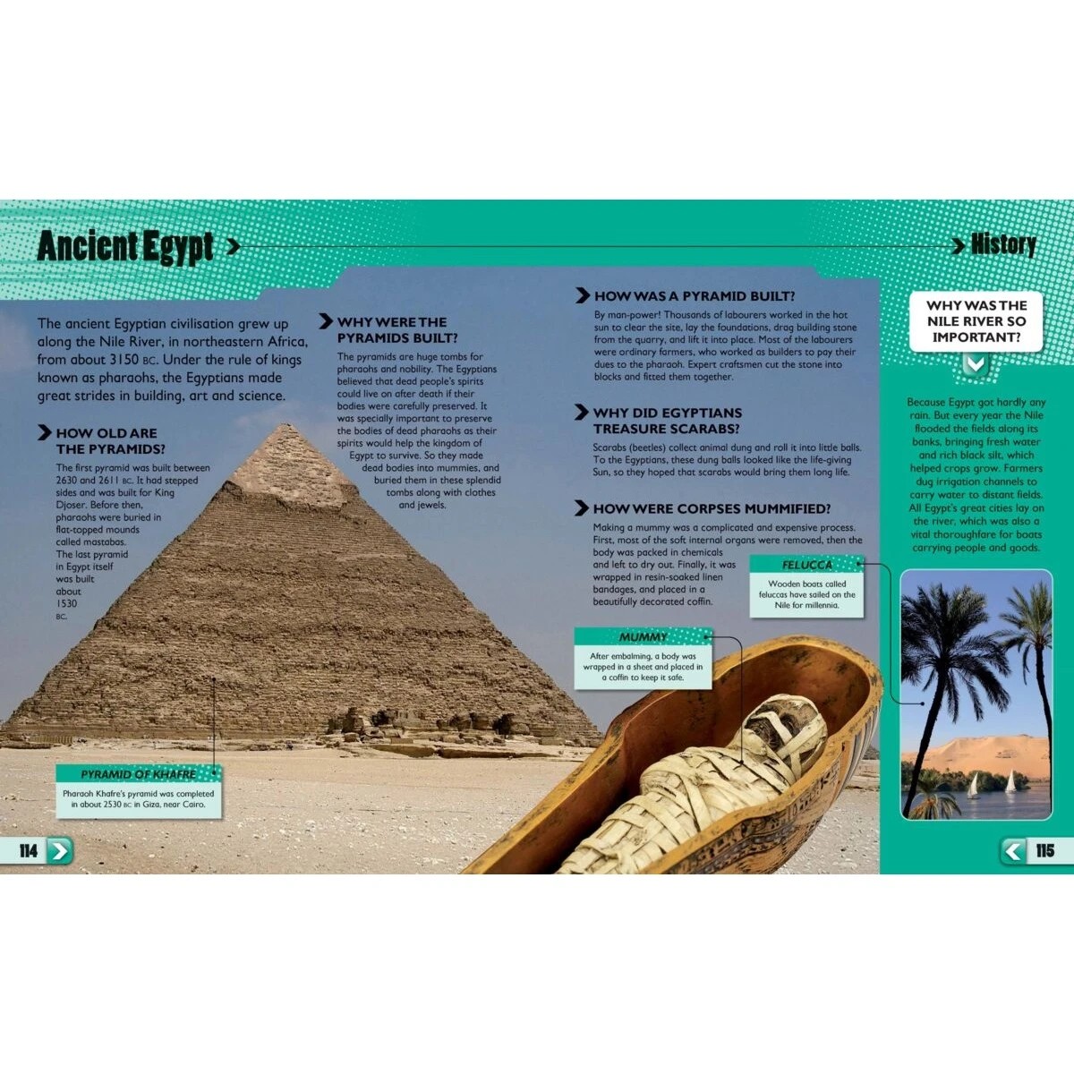 3 1001 Questions and Answers About Absolutely Everything - Book, 3 of 3