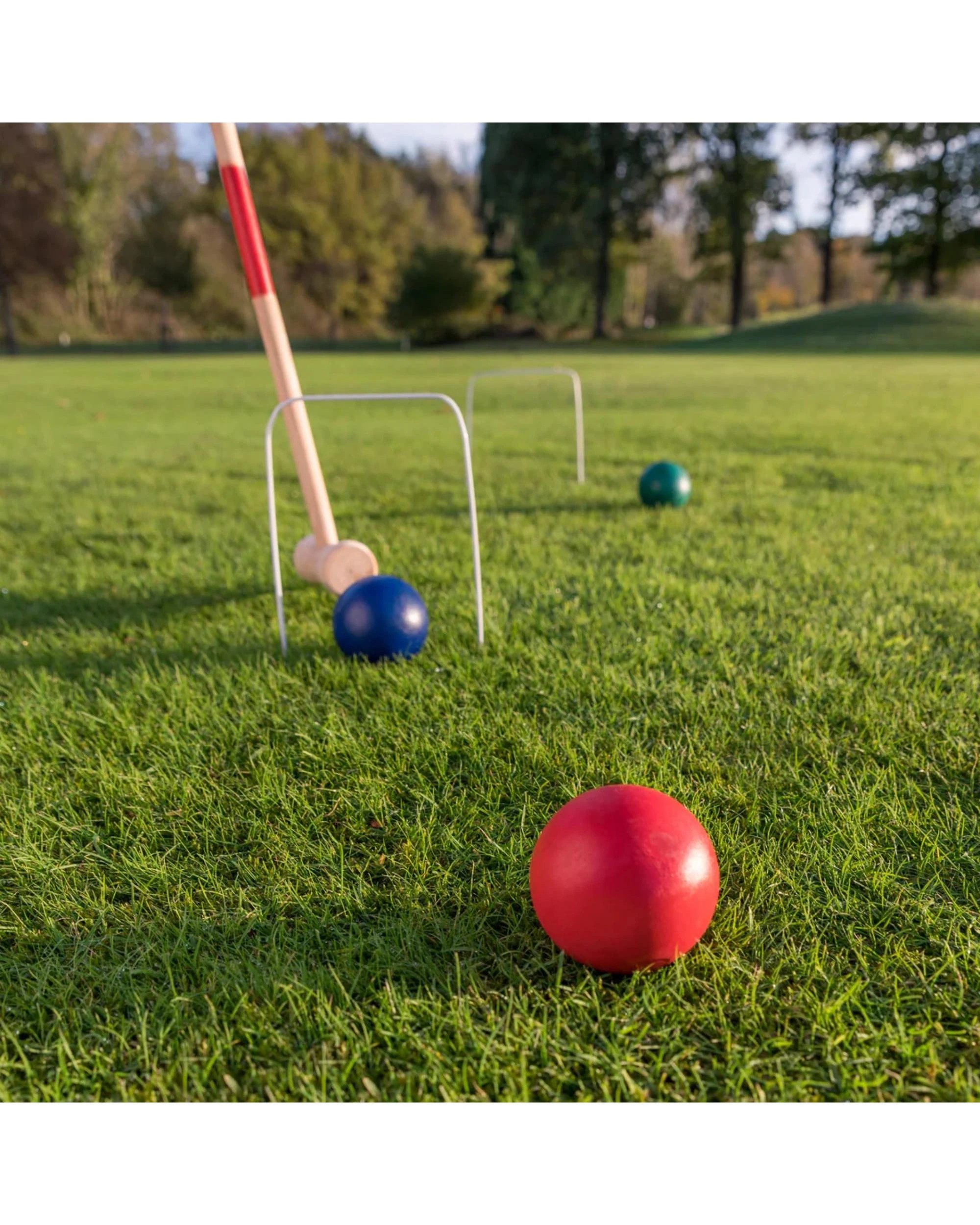 4 Go Play! Garden Games Croquet, 4 of 4