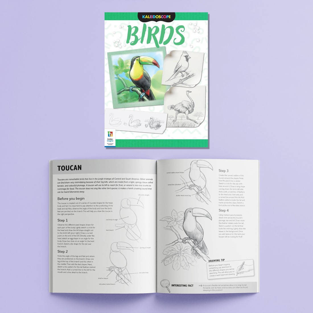 6 Kaleidoscope: Amazing Things to Draw - Book, 6 of 8