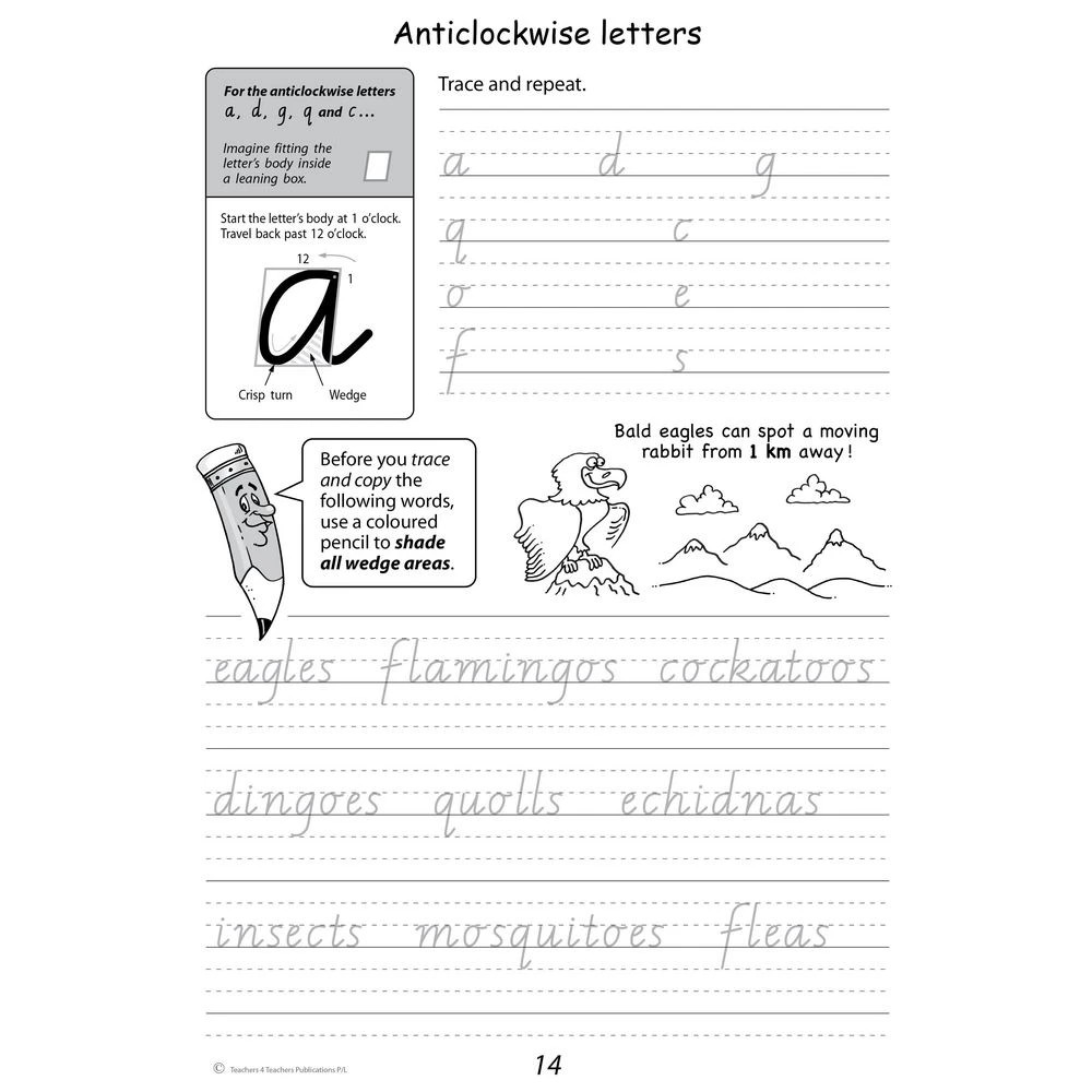 4 Handwriting Conventions Practice Book Victoria Year 3, 4 of 5