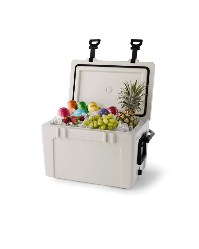 36 Cans 25L High Performance Co