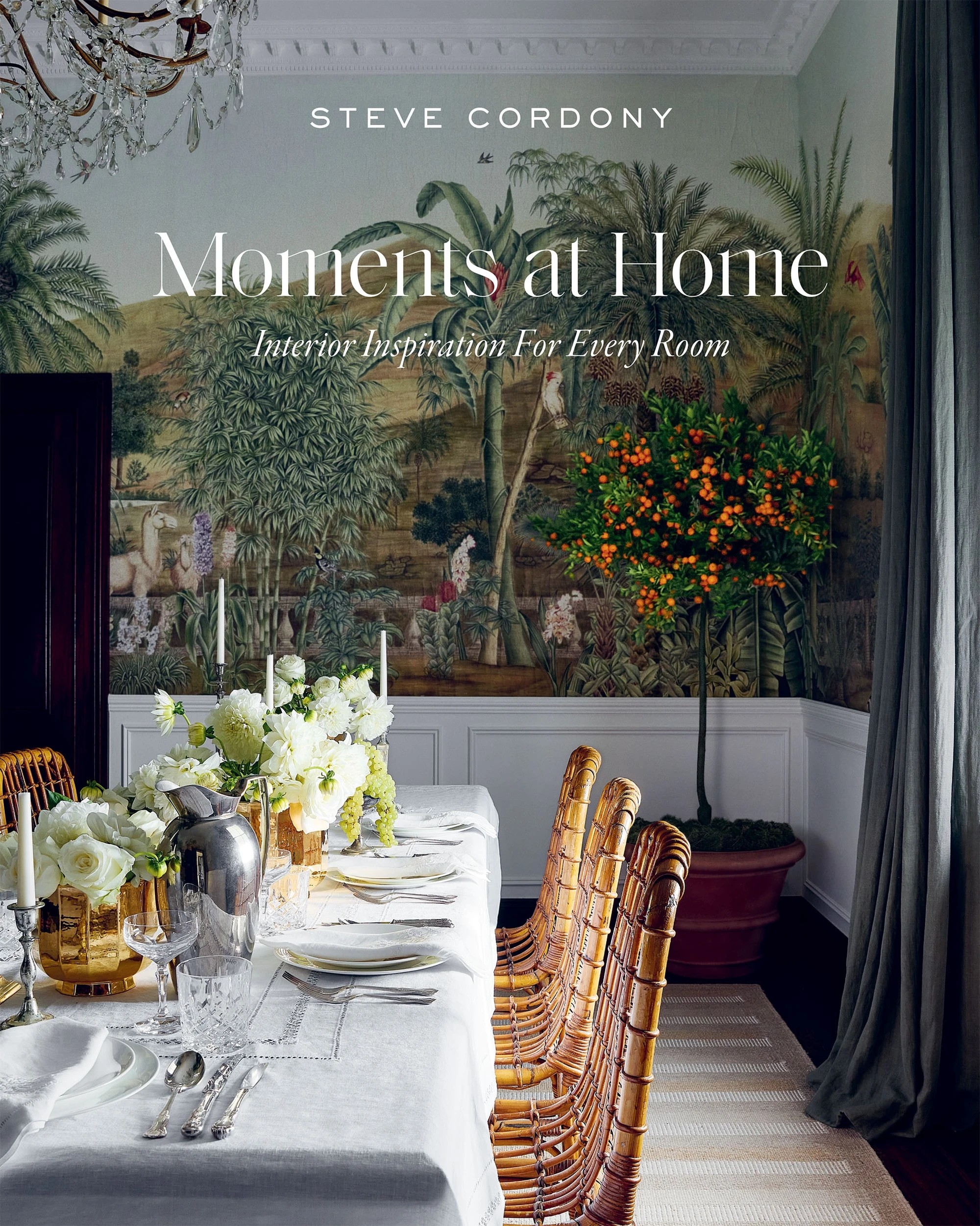 1 Moments at Home by Steve Cordony - Book, 1 of 1