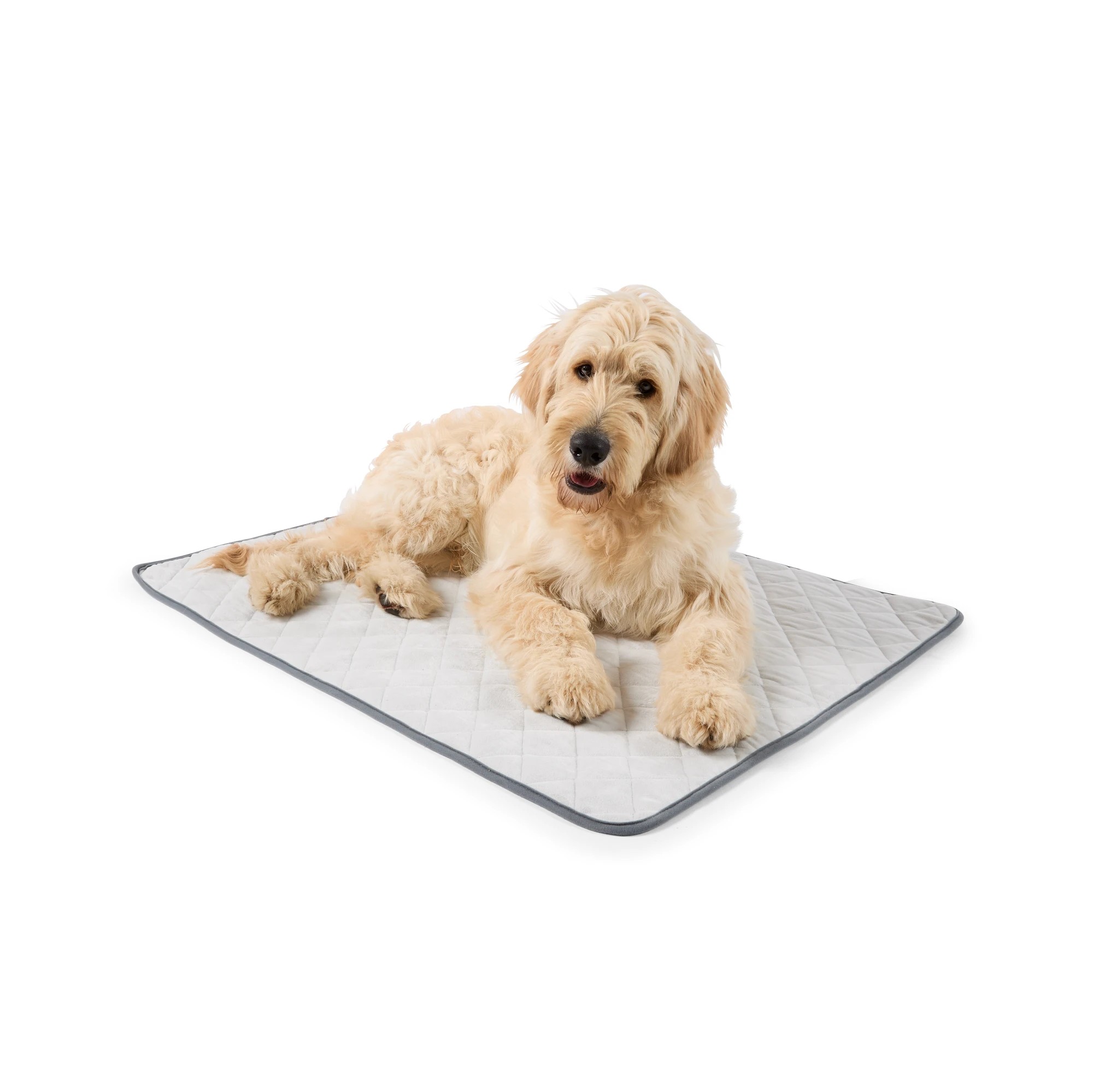 1 Pet Blanket Self Warming, 1 of 8
