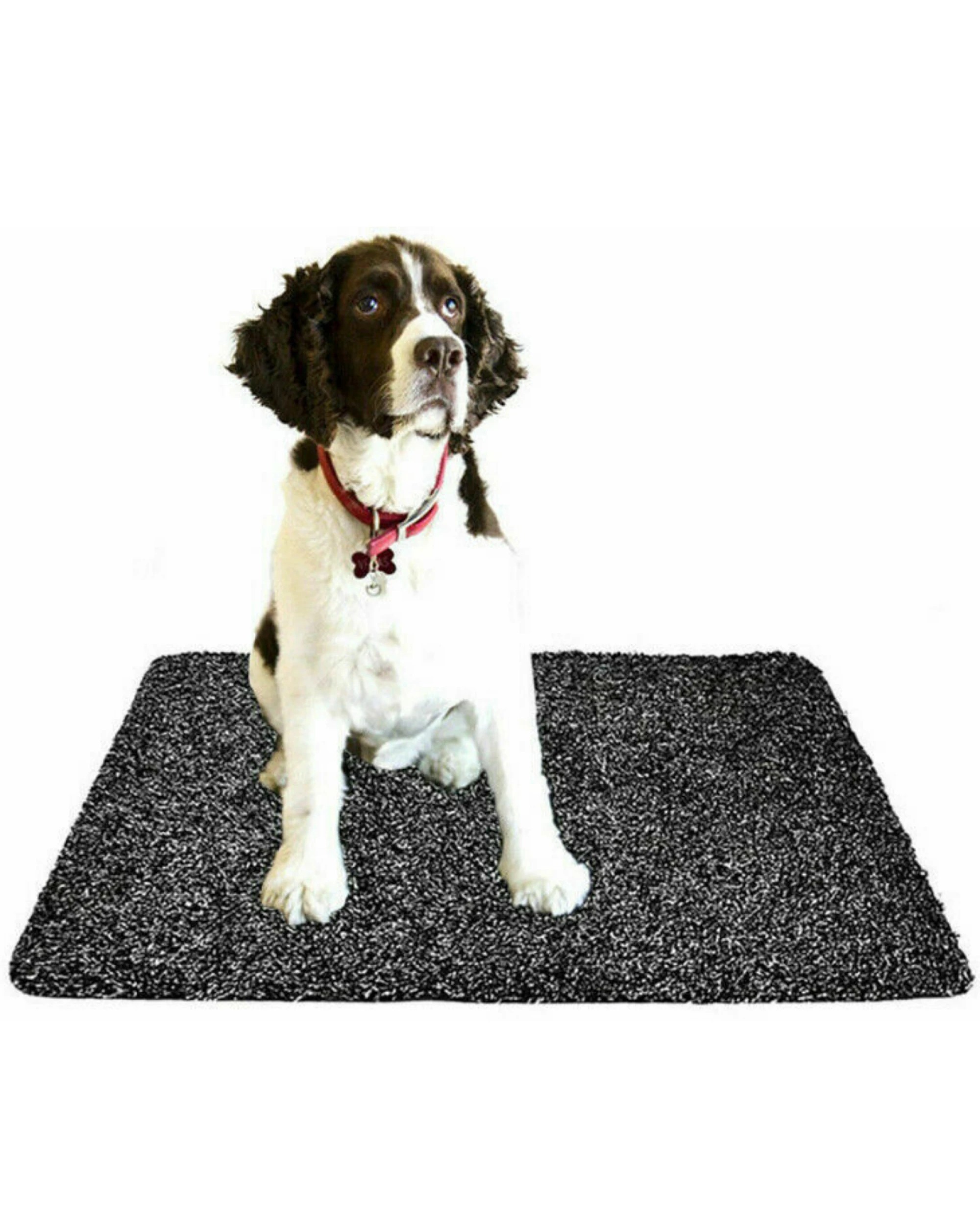 1 BR Home Microfibre Doormat with Non-Slip Backing for Mud and Water Absorption, 1 of 9