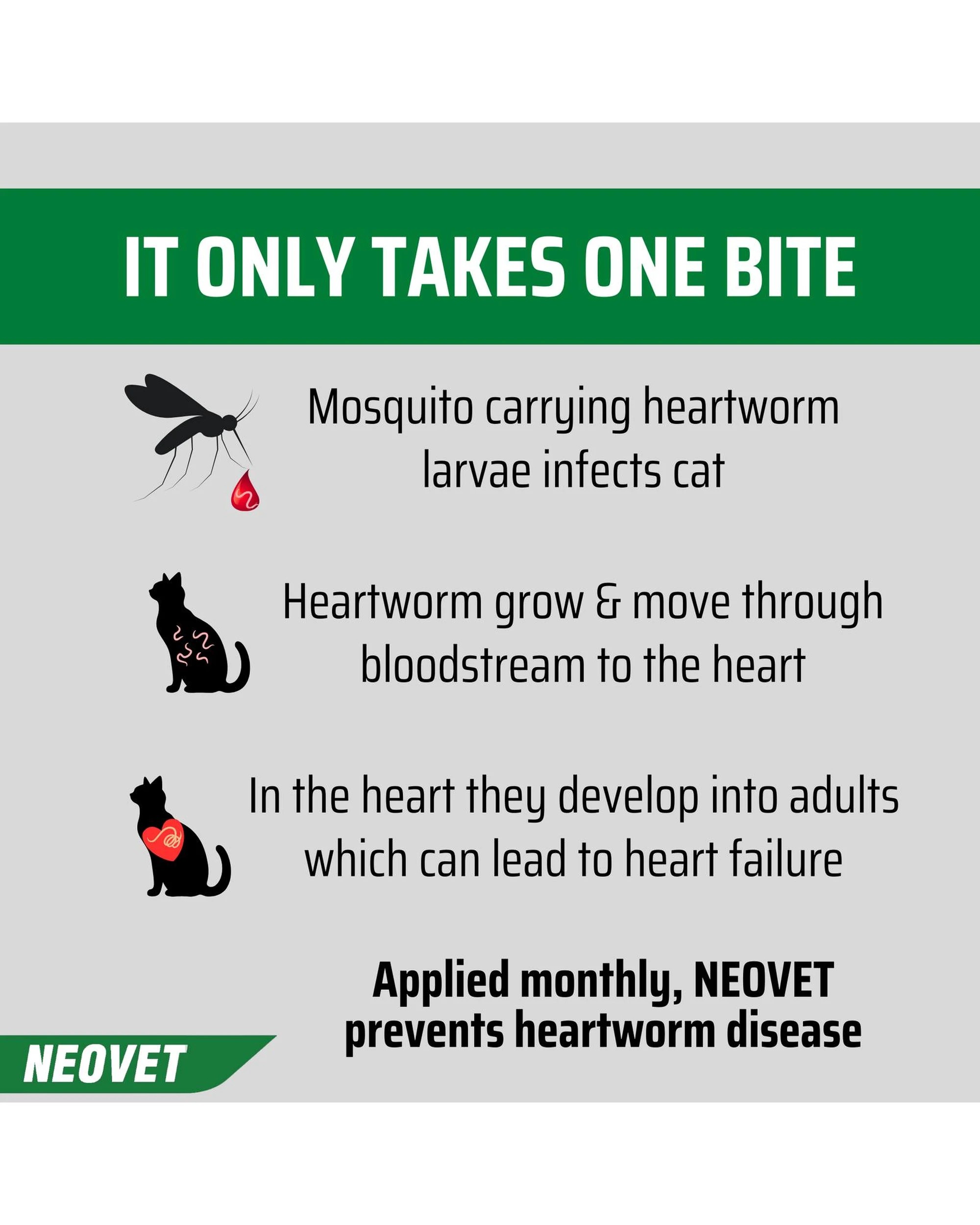 7 Neovet Selamectin Spot-On for Kittens and Small Cats up to 4 kg, Orange 6 Pack - Orange, 7 of 9