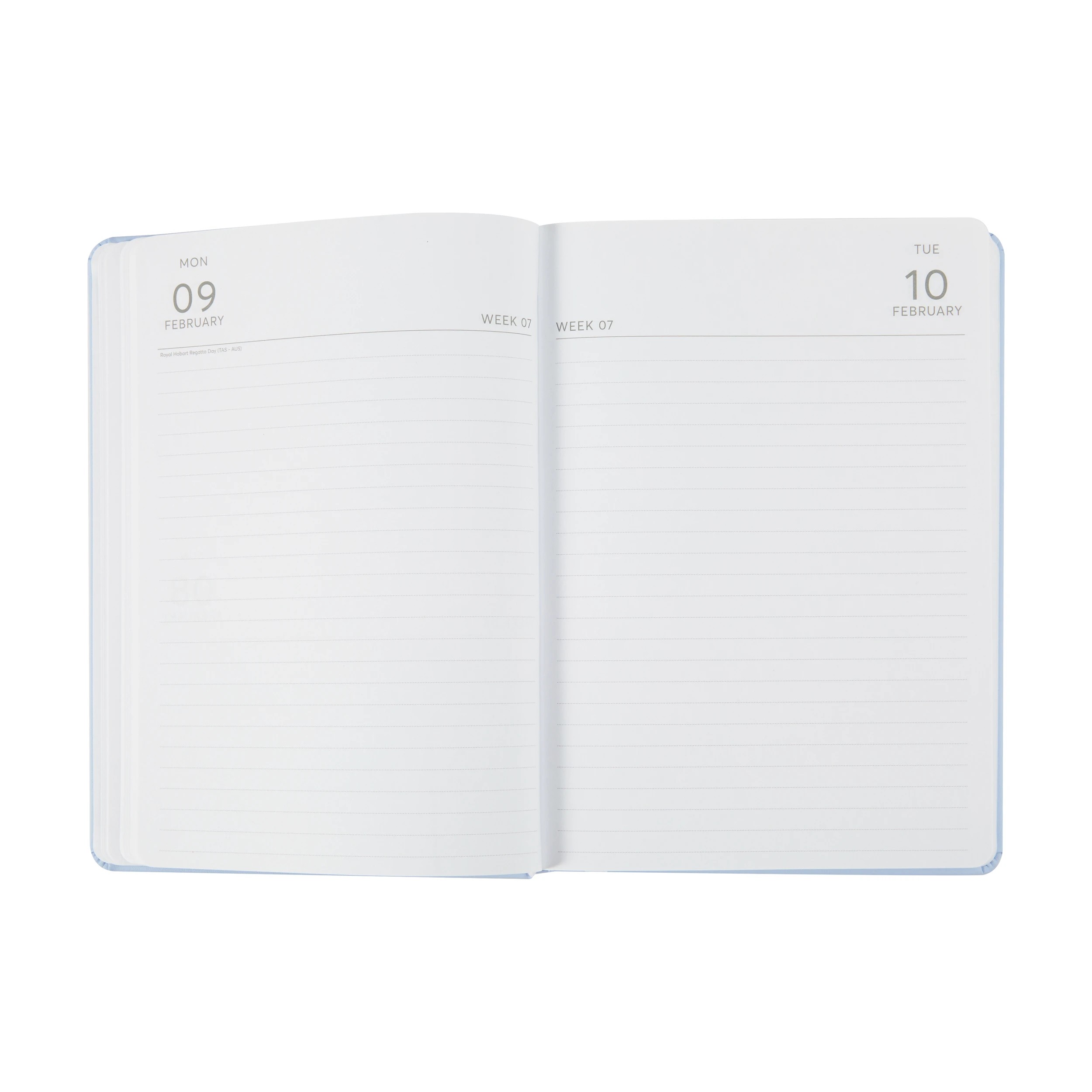 3 2026 Weekly Diary - Blue, 3 of 8