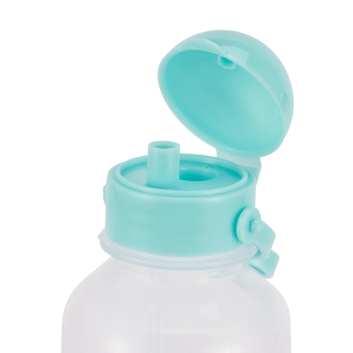 6 Dino Insulated Case and Bottle Set, 6 of 7