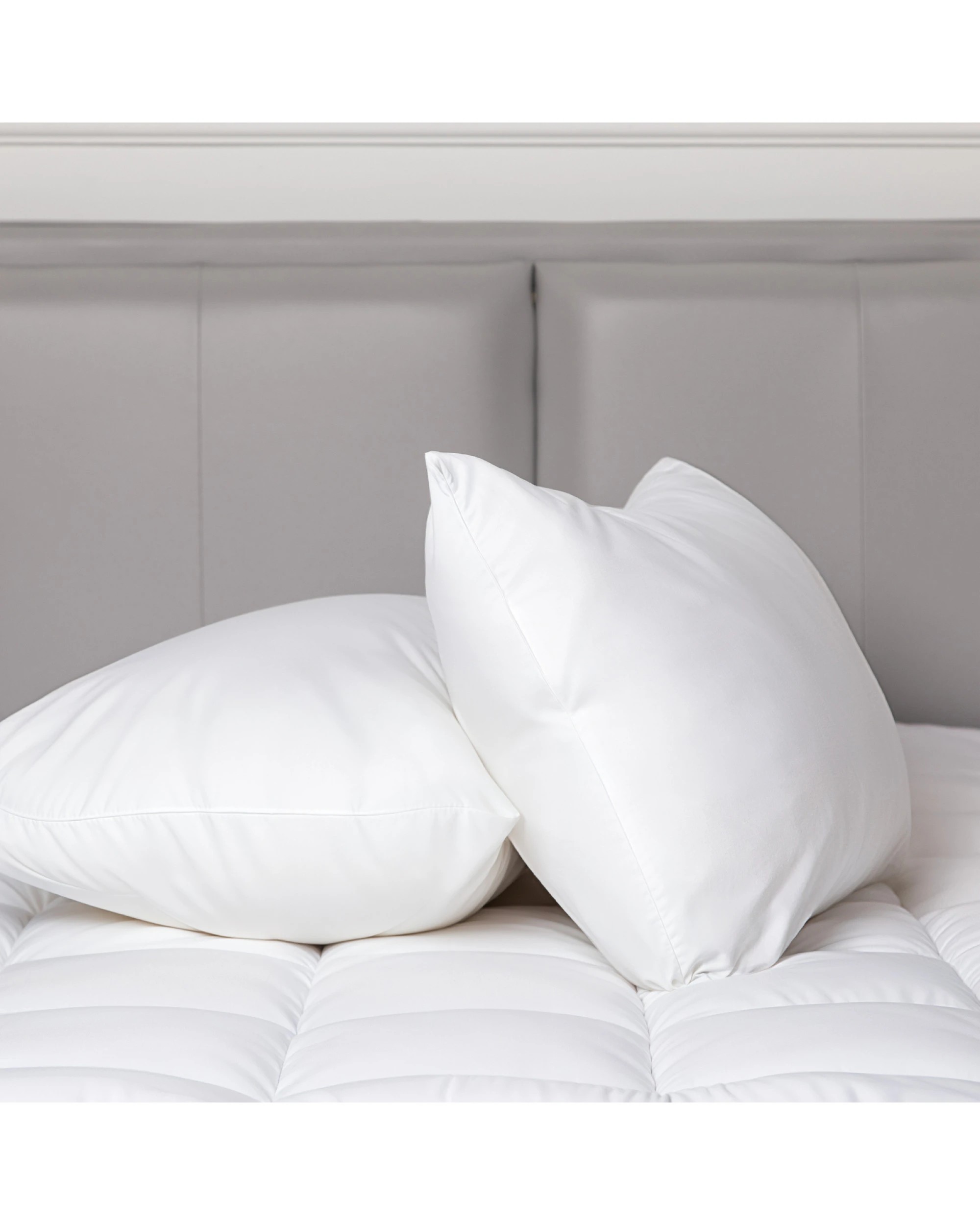 6 Hacienda 100 Percent Cotton Pillow Cover with 800g Poly Fill Hypoallergenic, Antibacterial, and Cooling Technology 2 PK, 6 of 6