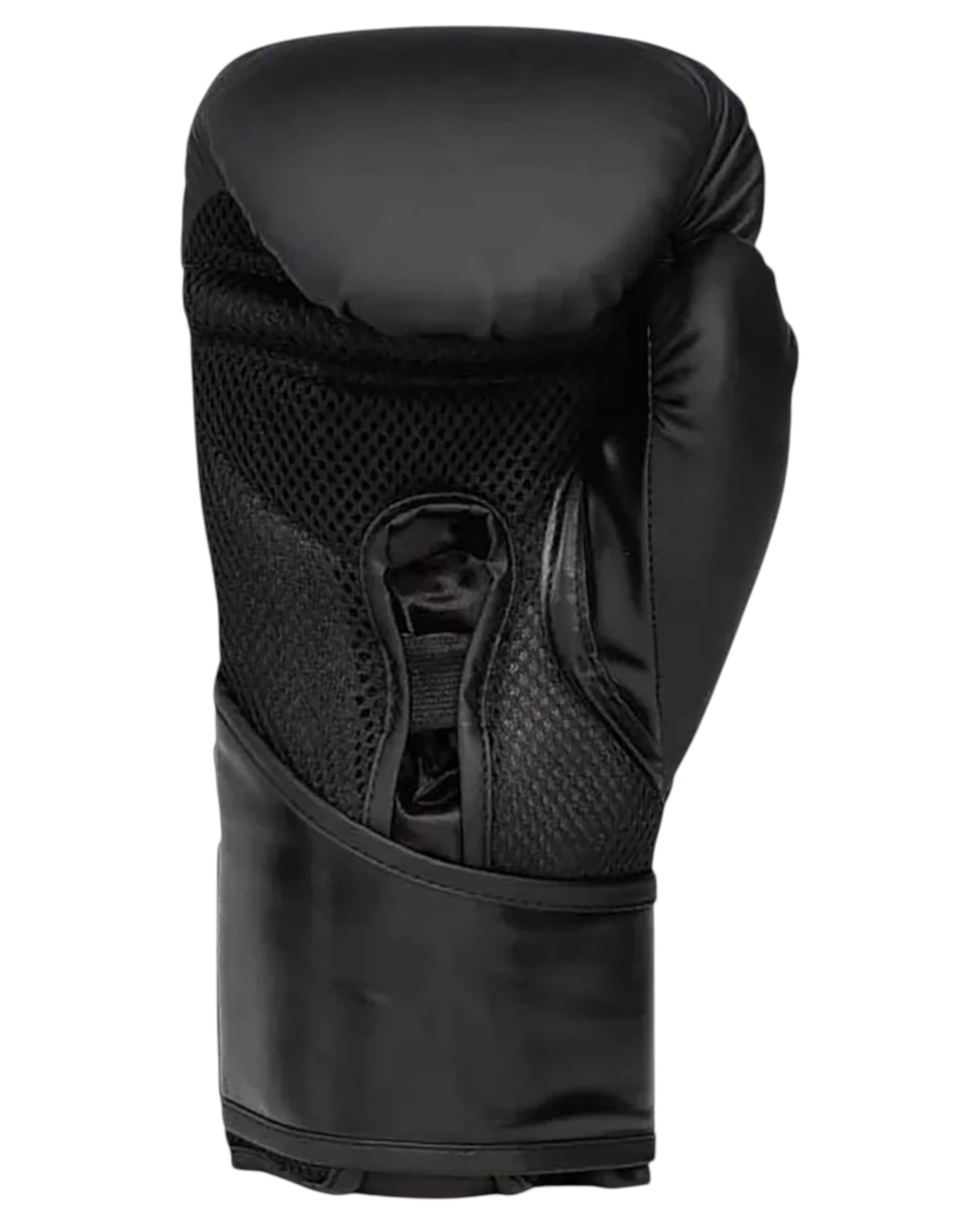 2 Everlast Elite 2 Training Boxing Gloves 16oz - Multi, 2 of 4