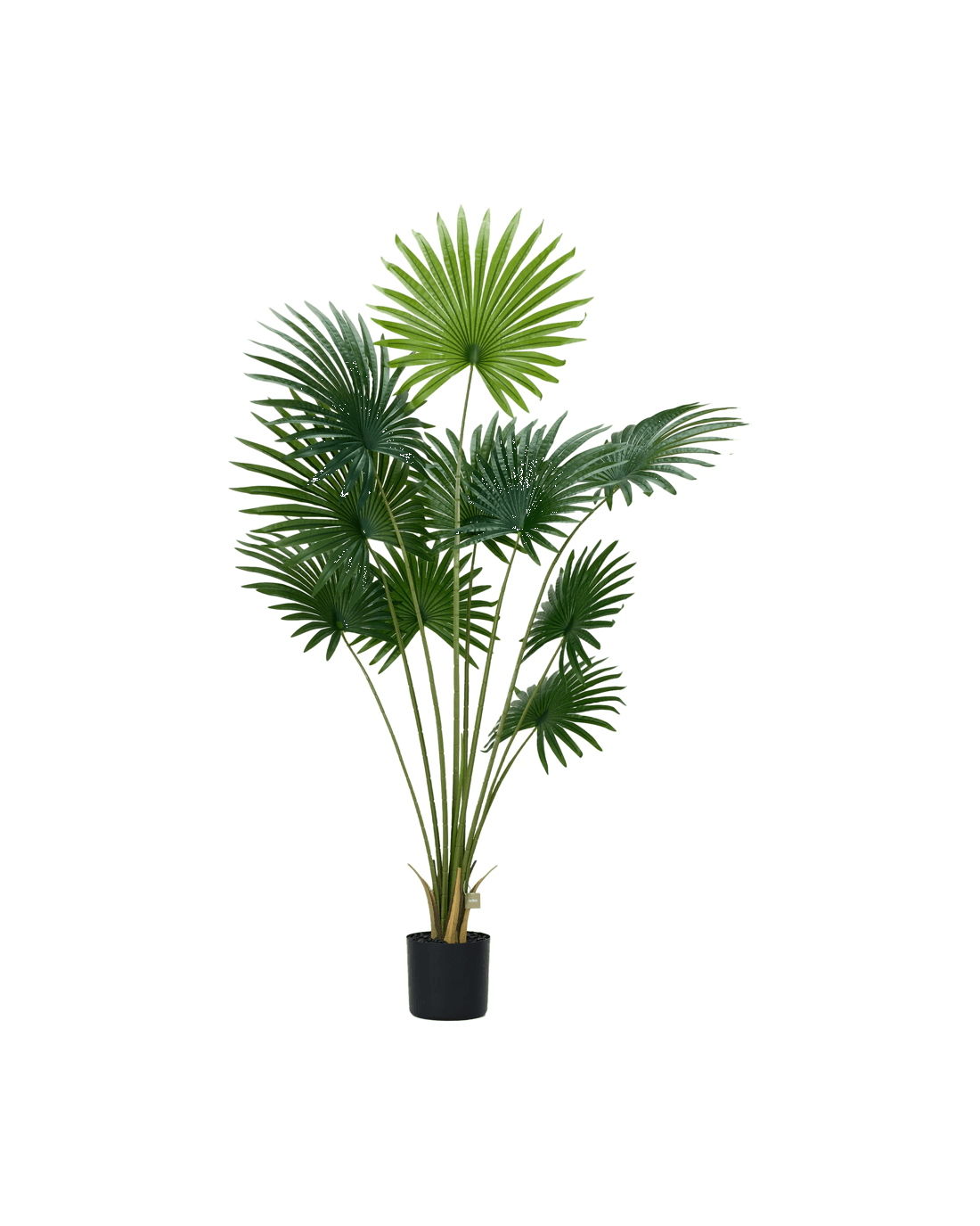 5 Tall Artificial Palm, 5 of 5