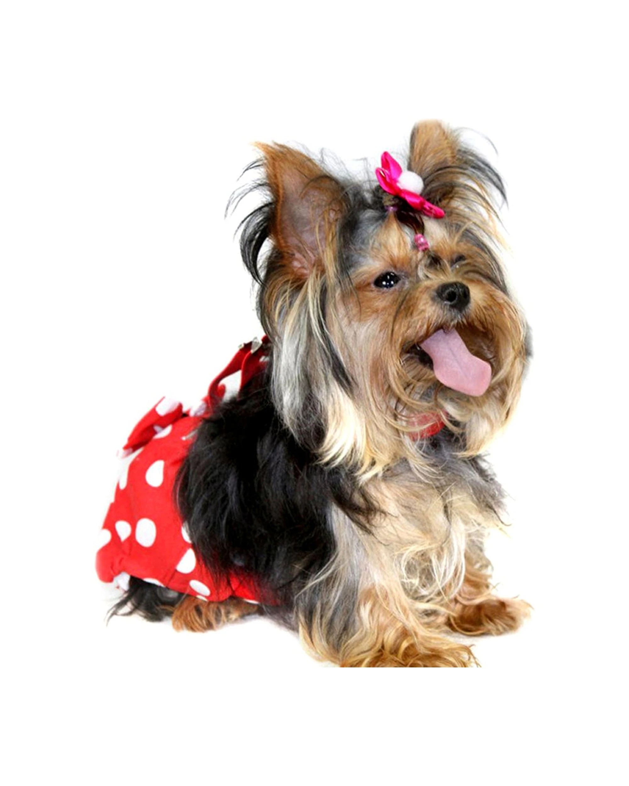 6 Cotton More 2pc Female Dog Reusable Sanitary Underpants Diaper Polka Dots Small - Red, 6 of 9