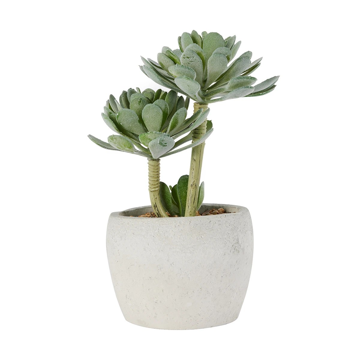3 Artificial Succulents in Pot, 3 of 7