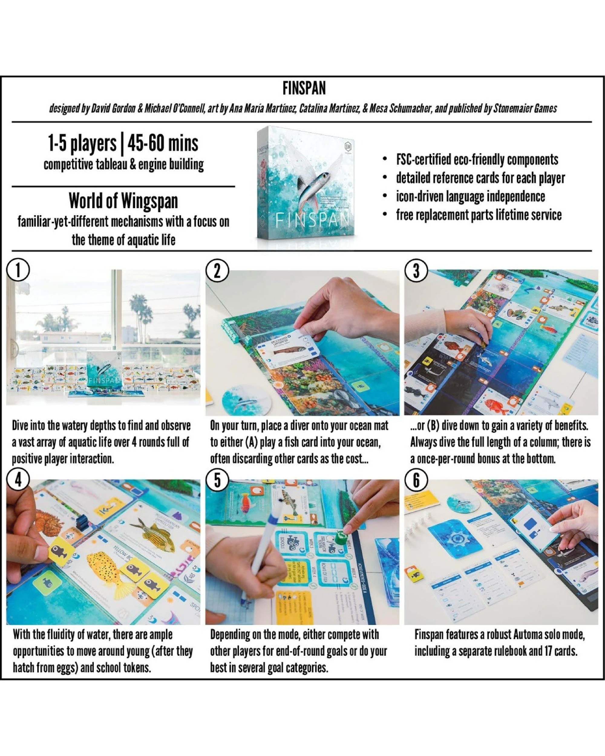 5 Finspan Board Game, 5 of 6