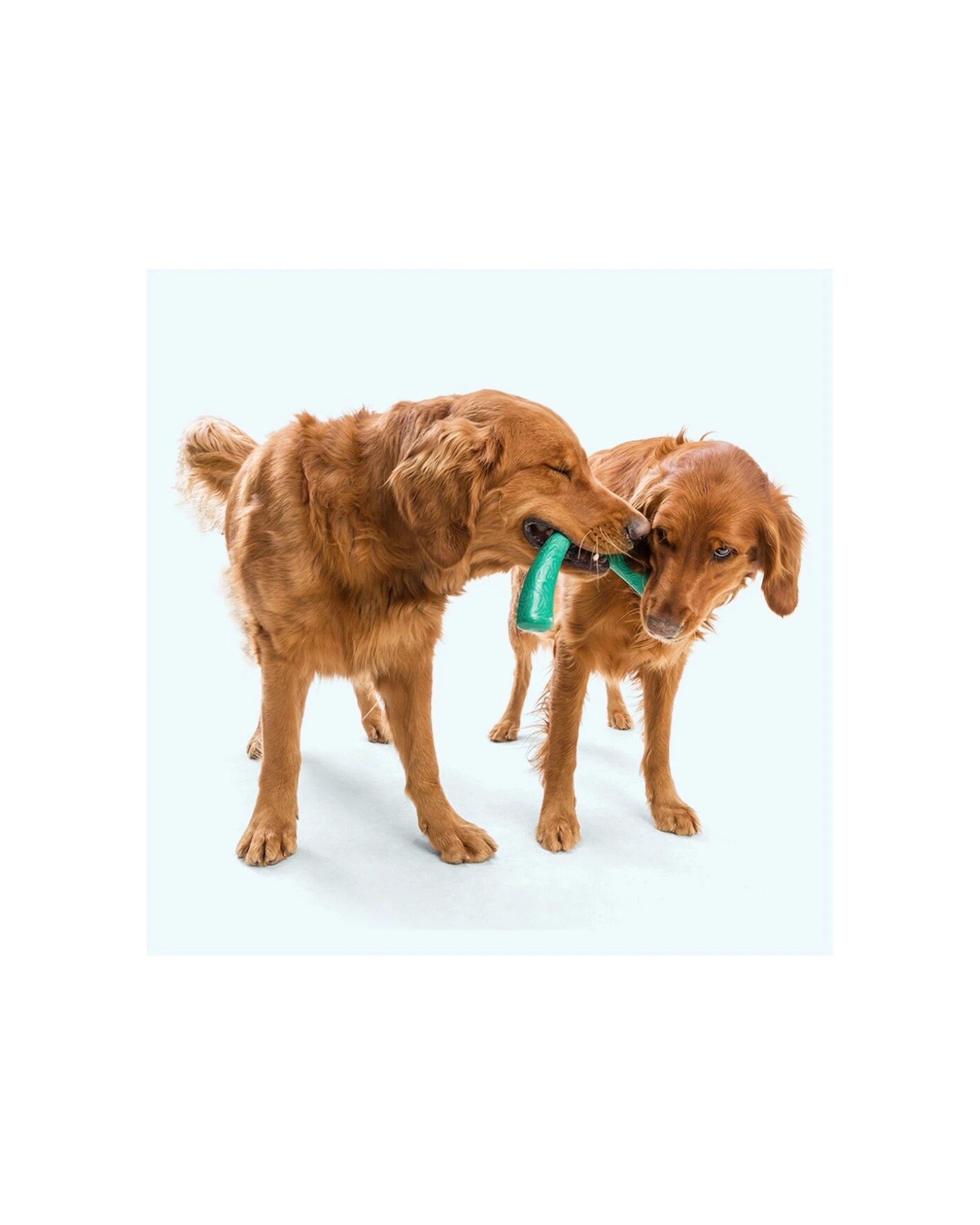 3 West Paw Snorkl Dog Fetch And Chew Toy Large Floating Recycled Plastic - Pink, 3 of 3