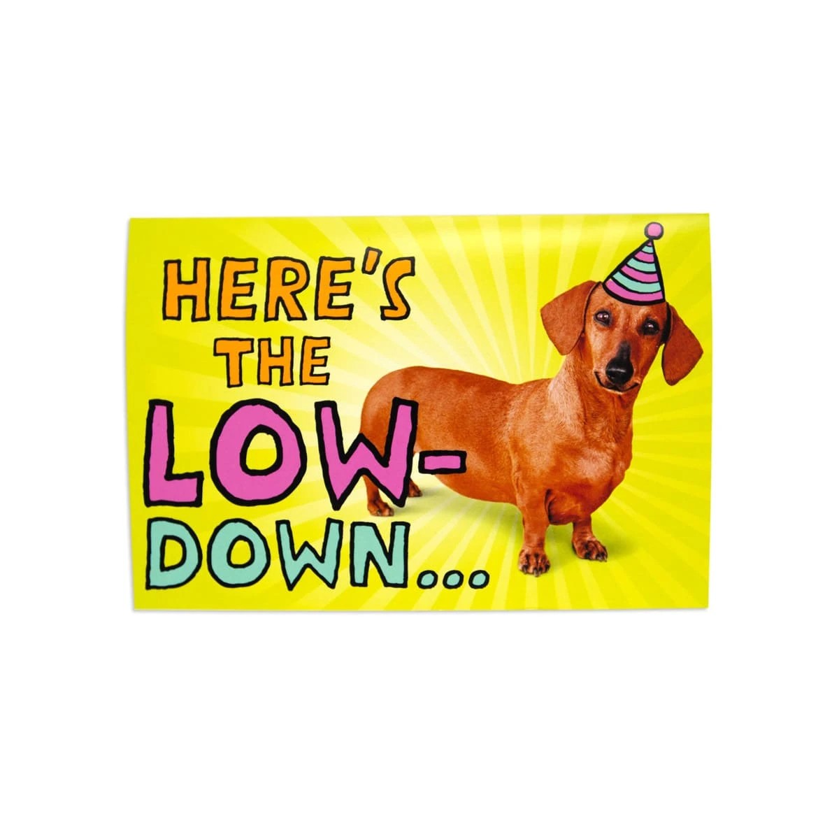 3 Hallmark Interactive Birthday Card - Atomic Dachshund Dog, 3 of 4