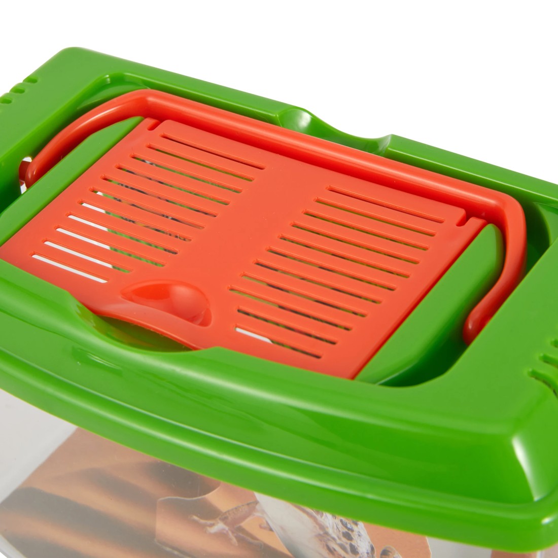 5 Bug Explorer Activity Set, 5 of 10