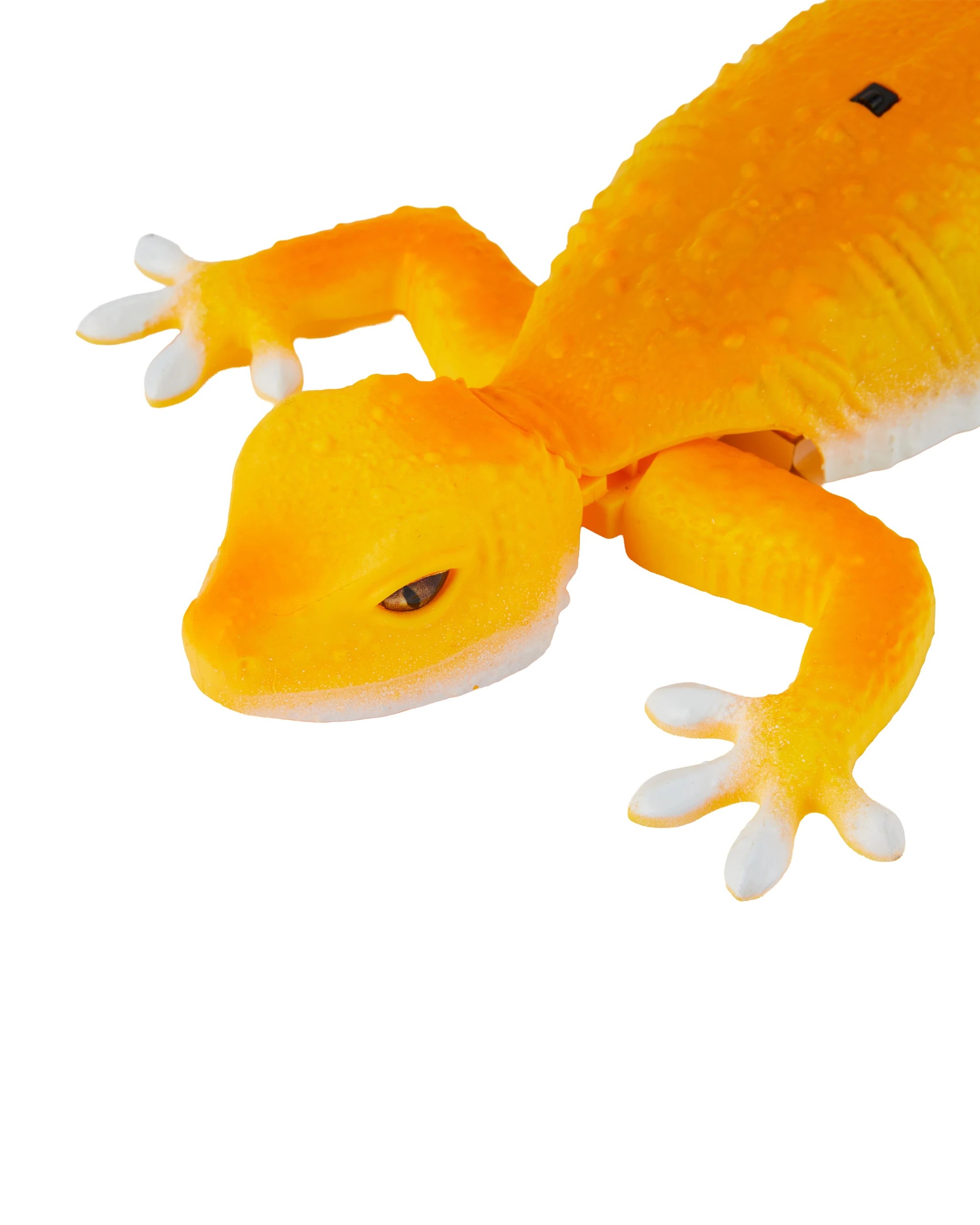 6 Remote Control Gecko, 6 of 8