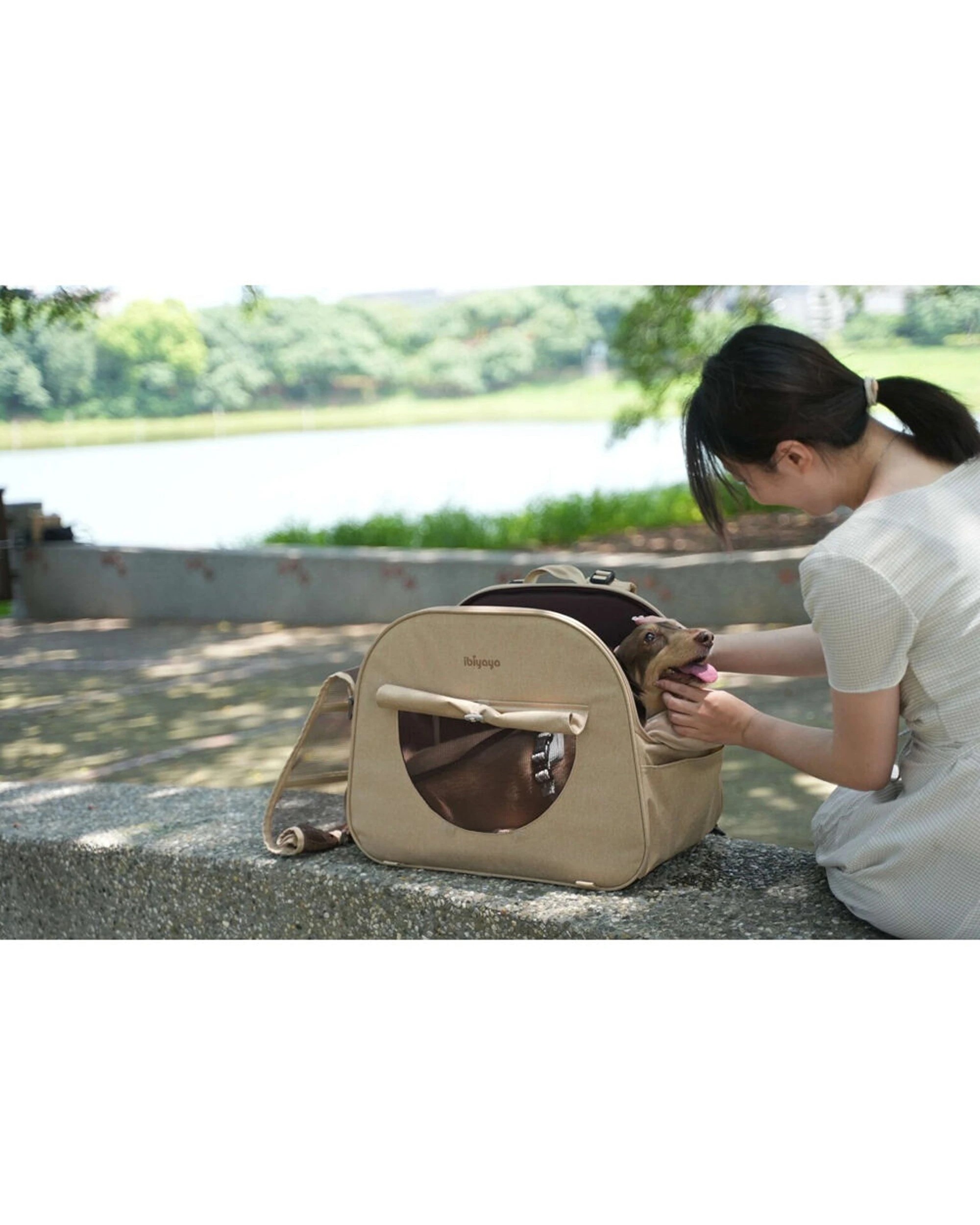 4 Ibiyaya The Loafer Pet Backpack Carrier Airline-Friendly Ventilated Travel - Beige, 4 of 4