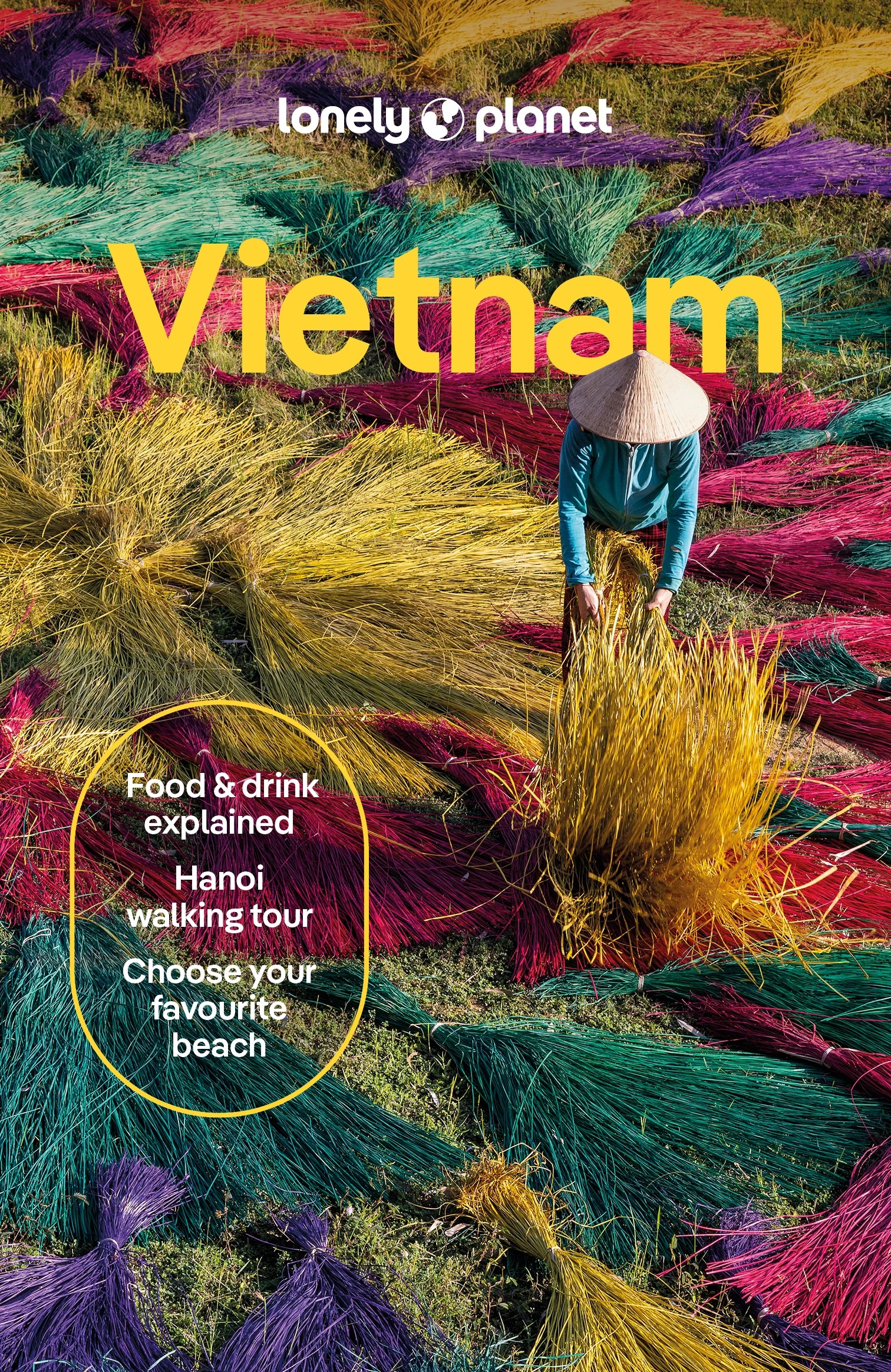 1 Lonely Planet: Vietnam - Book