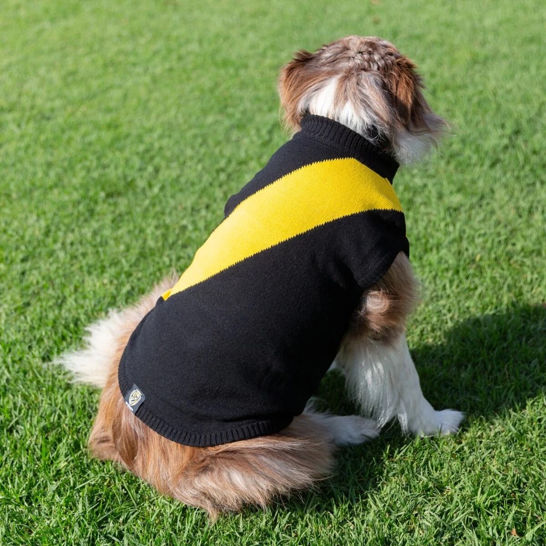 1 AFL Richmond Tigers Pet Jumper - Large, 1 of 4