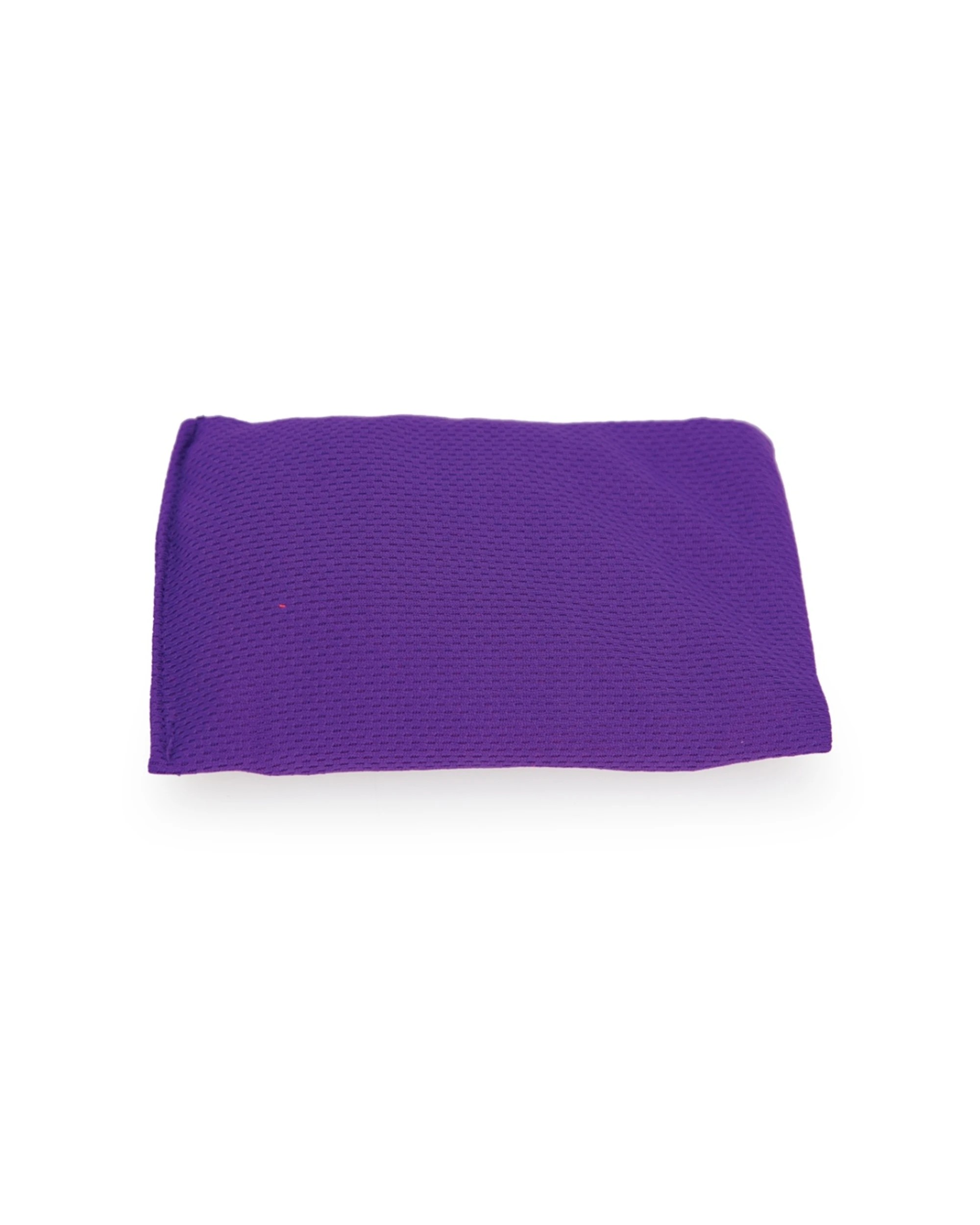 2 Victor Sports Bean Bag Solid Plastic Fill Educational Sport 10x15cm - Purple, 2 of 2