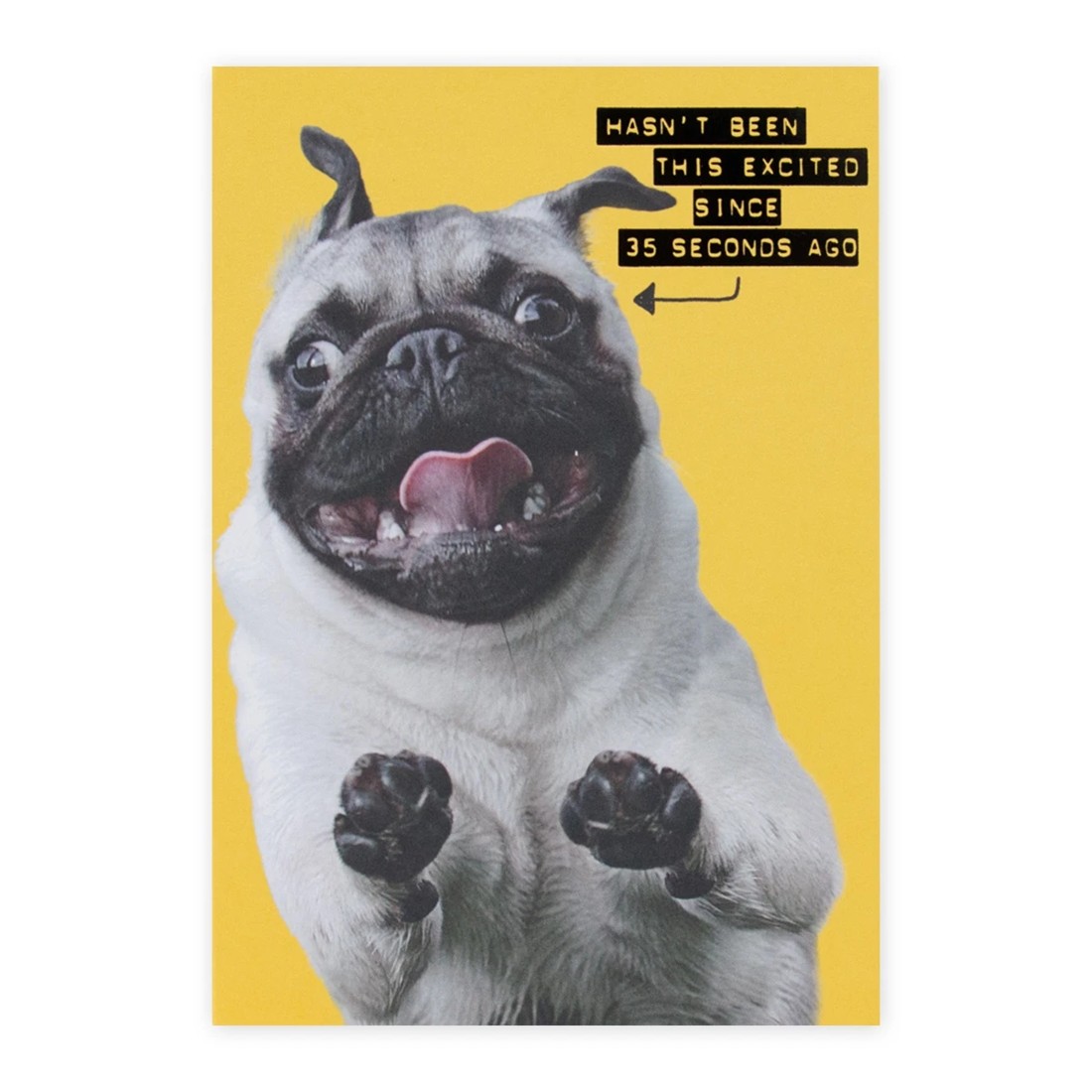 3 Connections from Hallmark Birthday Card - Excited Pug, 3 of 3