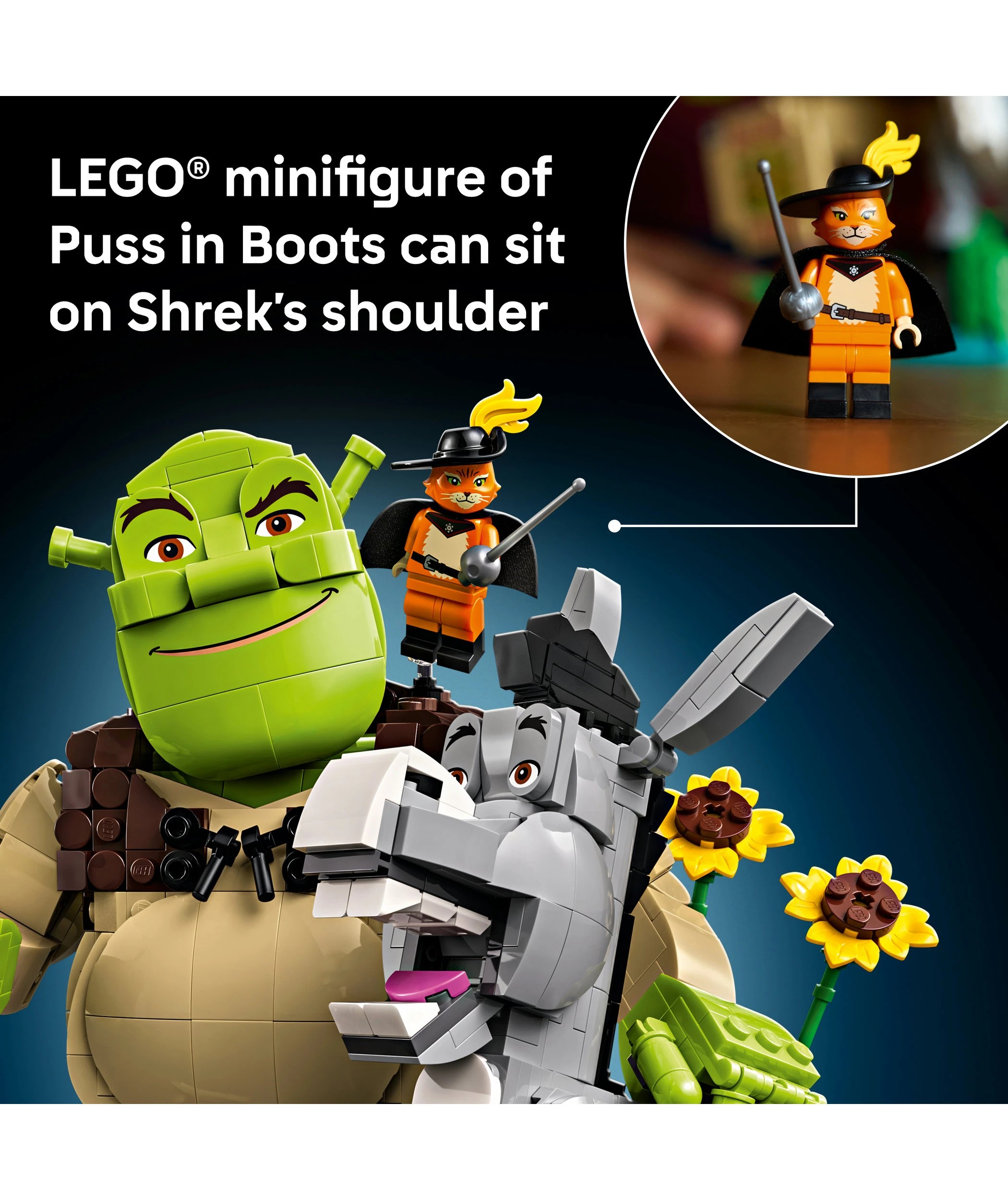 6 LEGO Shrek, Donkey & Puss in Boots 72423, 6 of 9