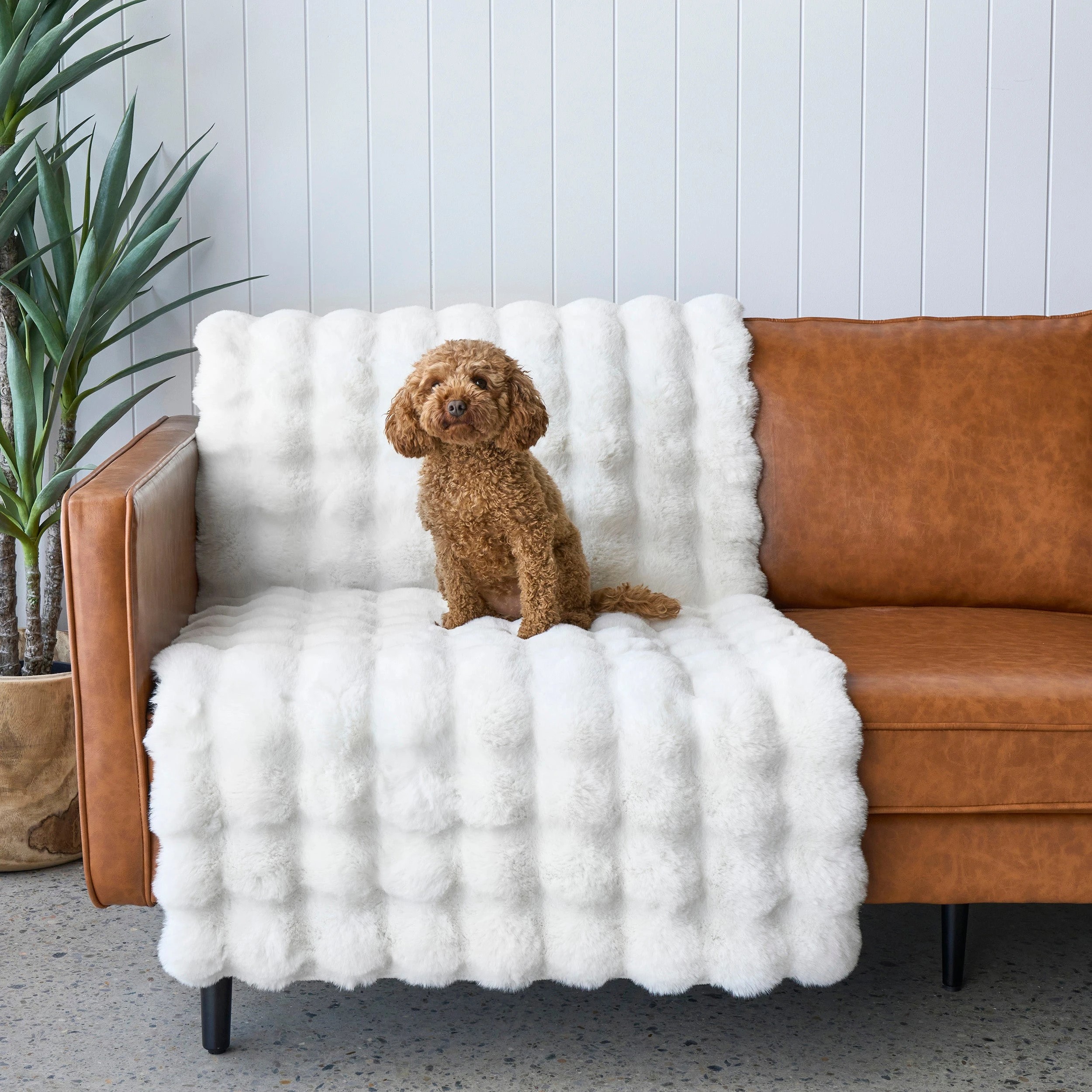 5 Common Ground Rugs PureForm 160x100cm - Small Washable Pet Friendly Rug - White, 5 of 10