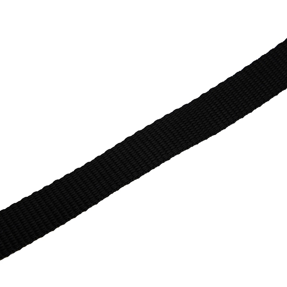 4 Pet Recall Training Lead, 4 of 5