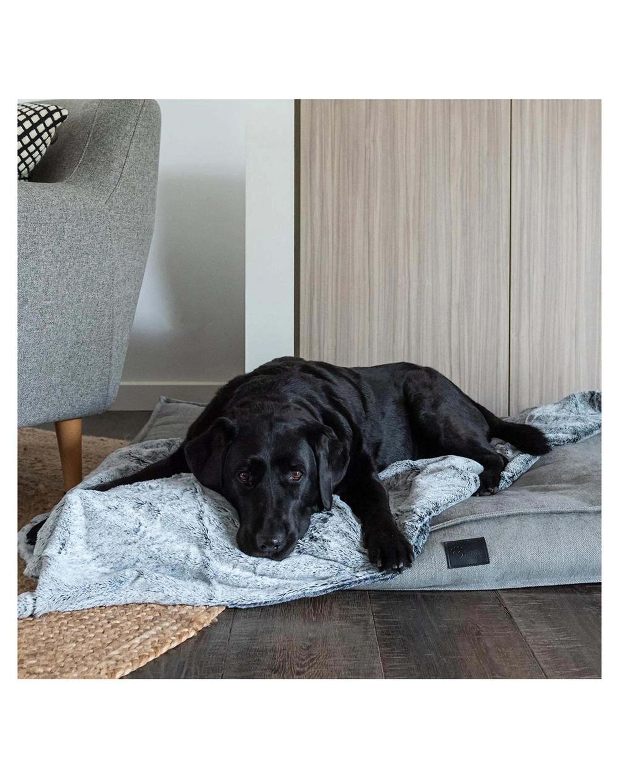 3 Superior Pet Calming Plush Pet Blanket Arctic Faux Fur Large, 3 of 6