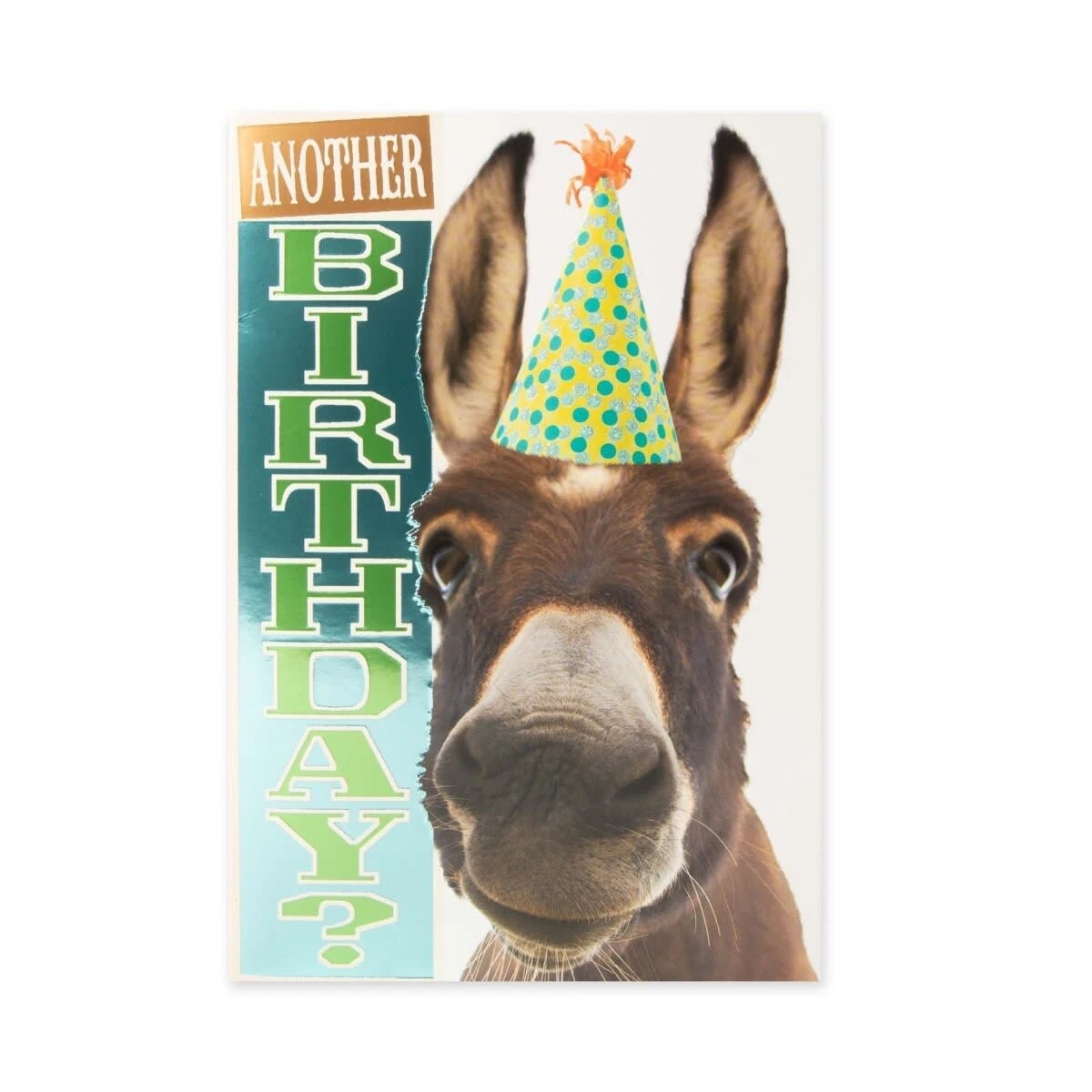 3 Connections from Hallmark Birthday Card - Party Donkey, 3 of 3