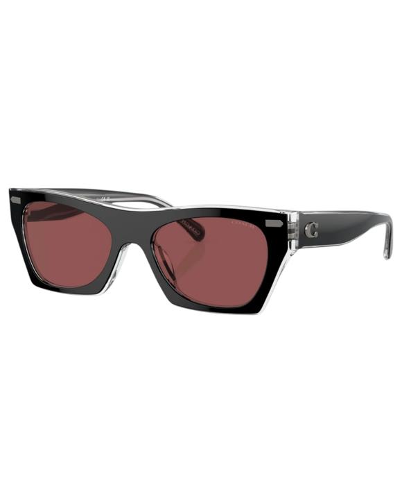 Coach Womens Sunglasses HC8389U Black Clear/ Violet Sunnies