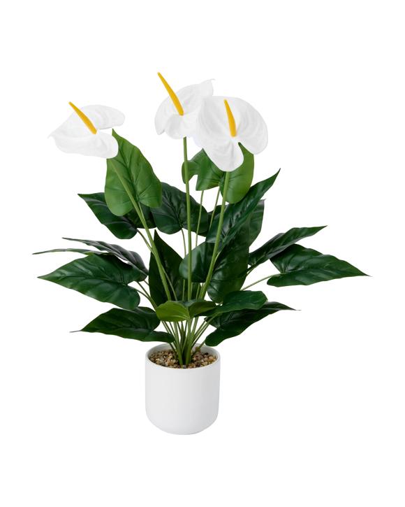 Artificial White Anthurium in Pot