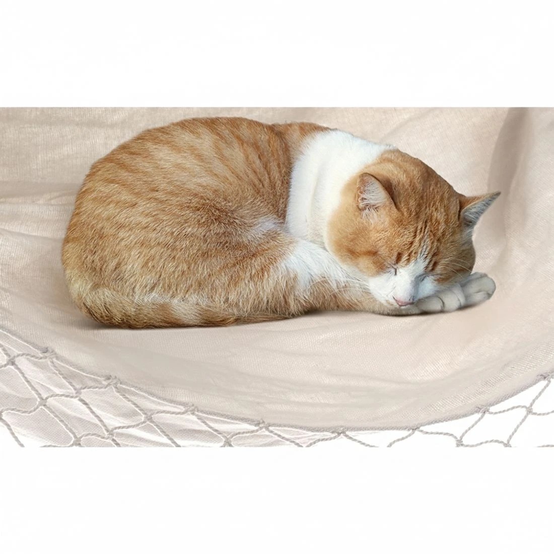 5 Gardeon Hanging Hammock Chair Outdoor Swing Hammocks Tassel Cream - Beige, 5 of 8