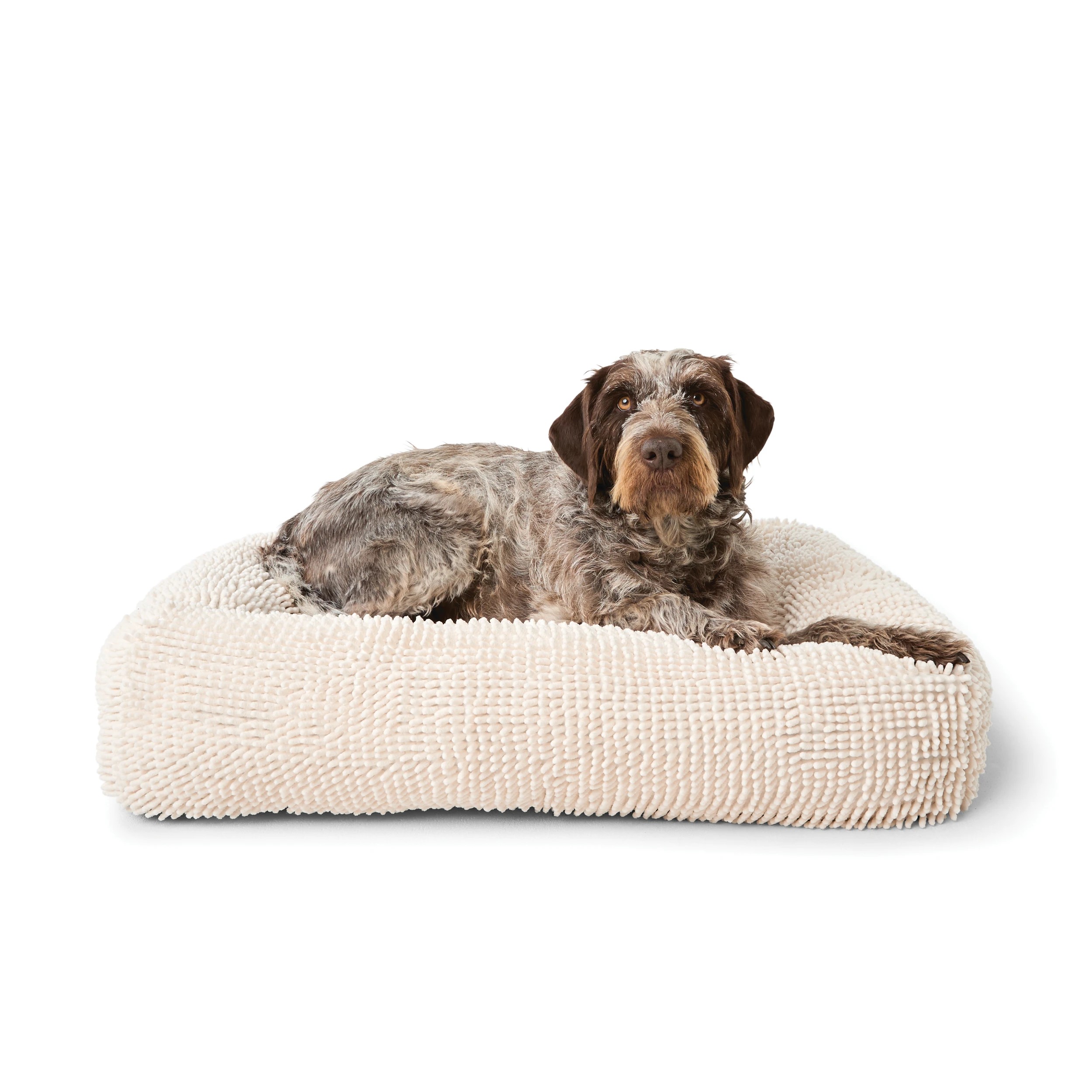 1 Pet Bed Terry Towel - Large, 1 of 5