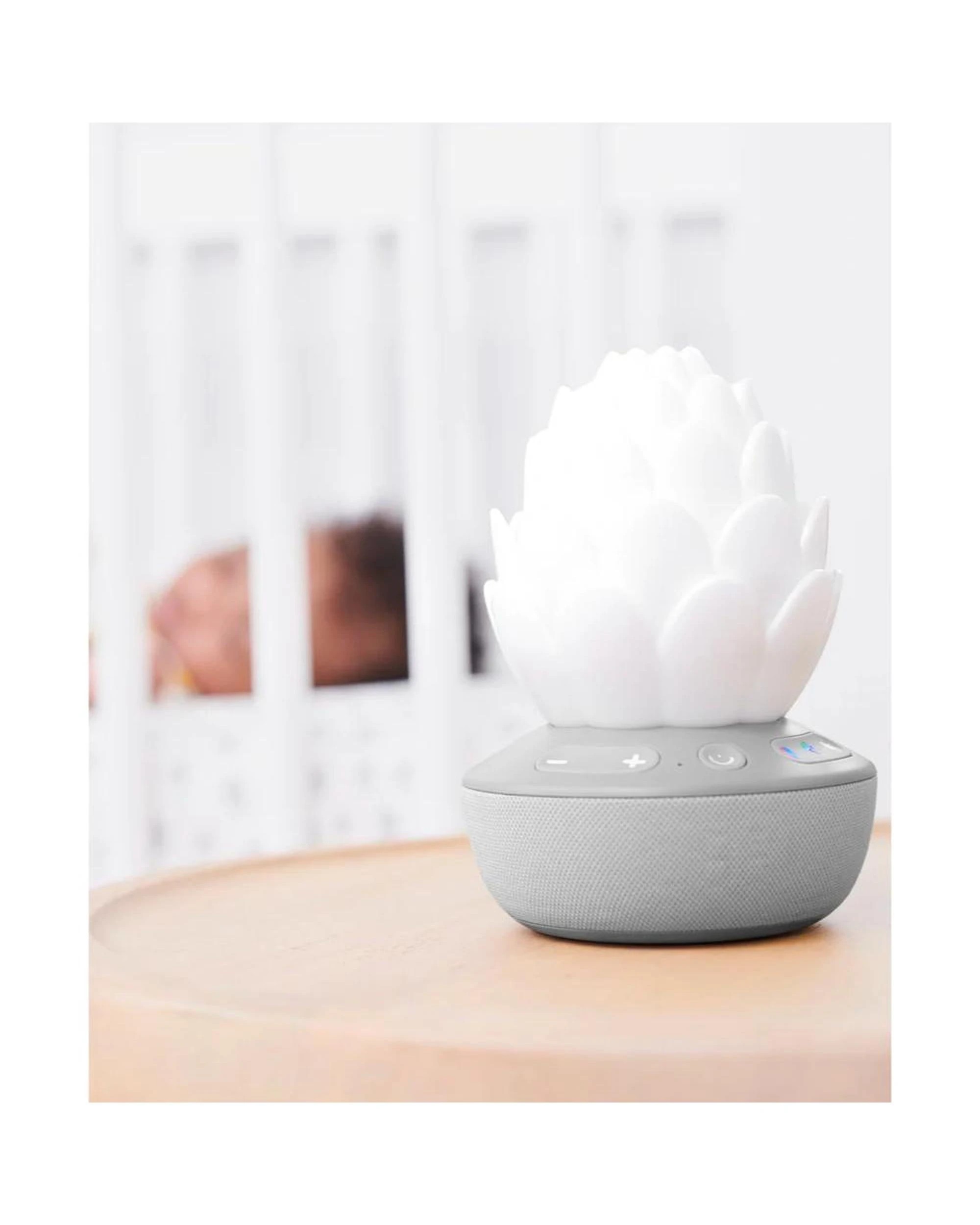 5 Skip Hop Terra Cry Activated Succulent Glow Soother, 5 of 5