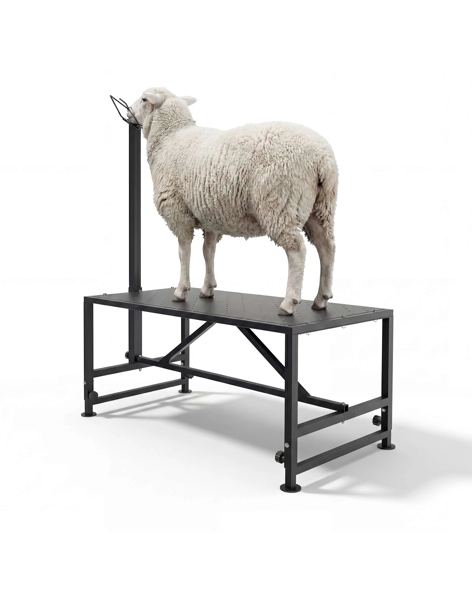 2 Advwin Goat Stand for Milking Metal Livestock Milking Shearing Stand, 2 of 10