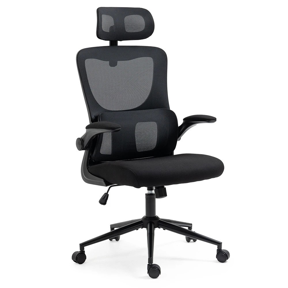 1 Fortia Ergonomic Office Desk Chair with Lumbar Support, Headrest - Black, 1 of 1