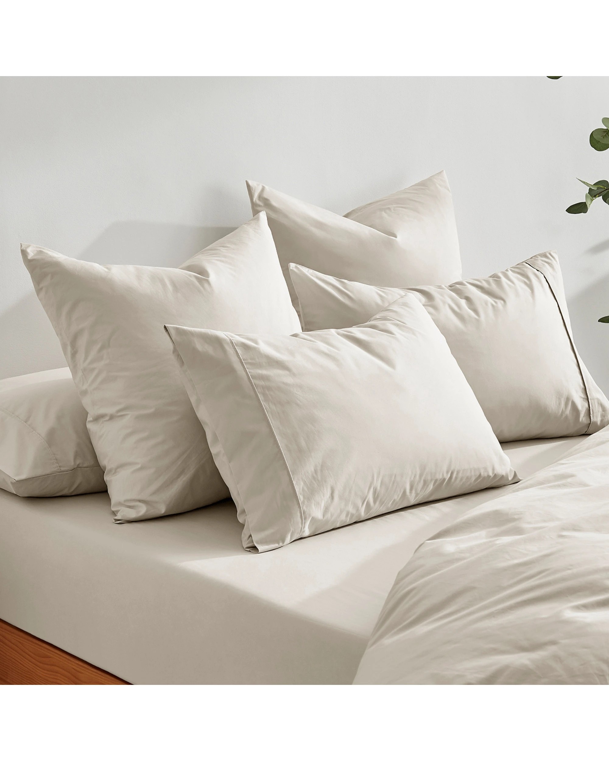 7 Dreamaker 300TC Cotton Percale Pillowcase Twin Pack - Oat, 7 of 7