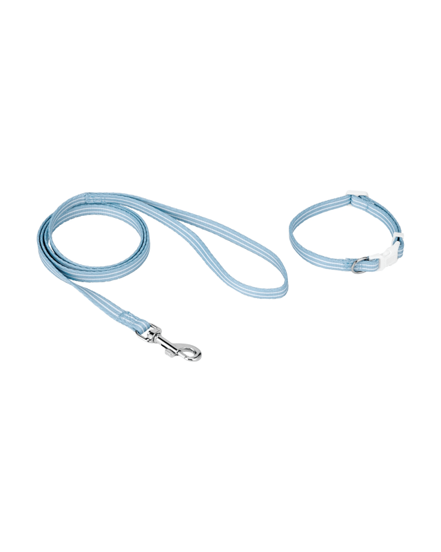 Puppy Collar & Lead - 