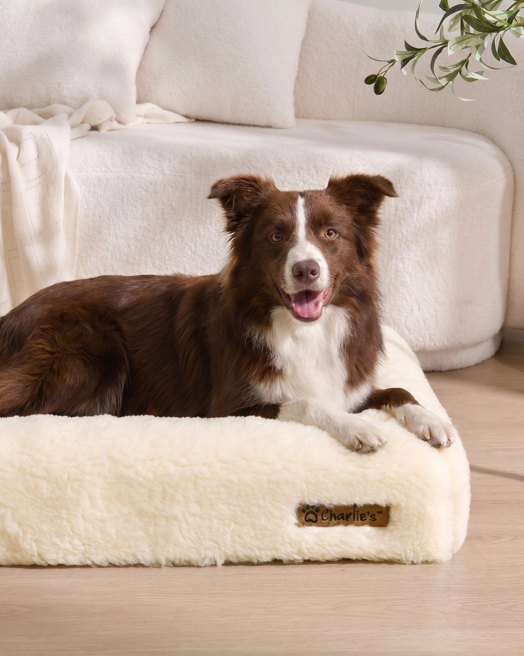 2 Charlie's Dolly Australian Wool Orthopedic Dog Bed 100x65cm Medium - Natural, 2 of 10