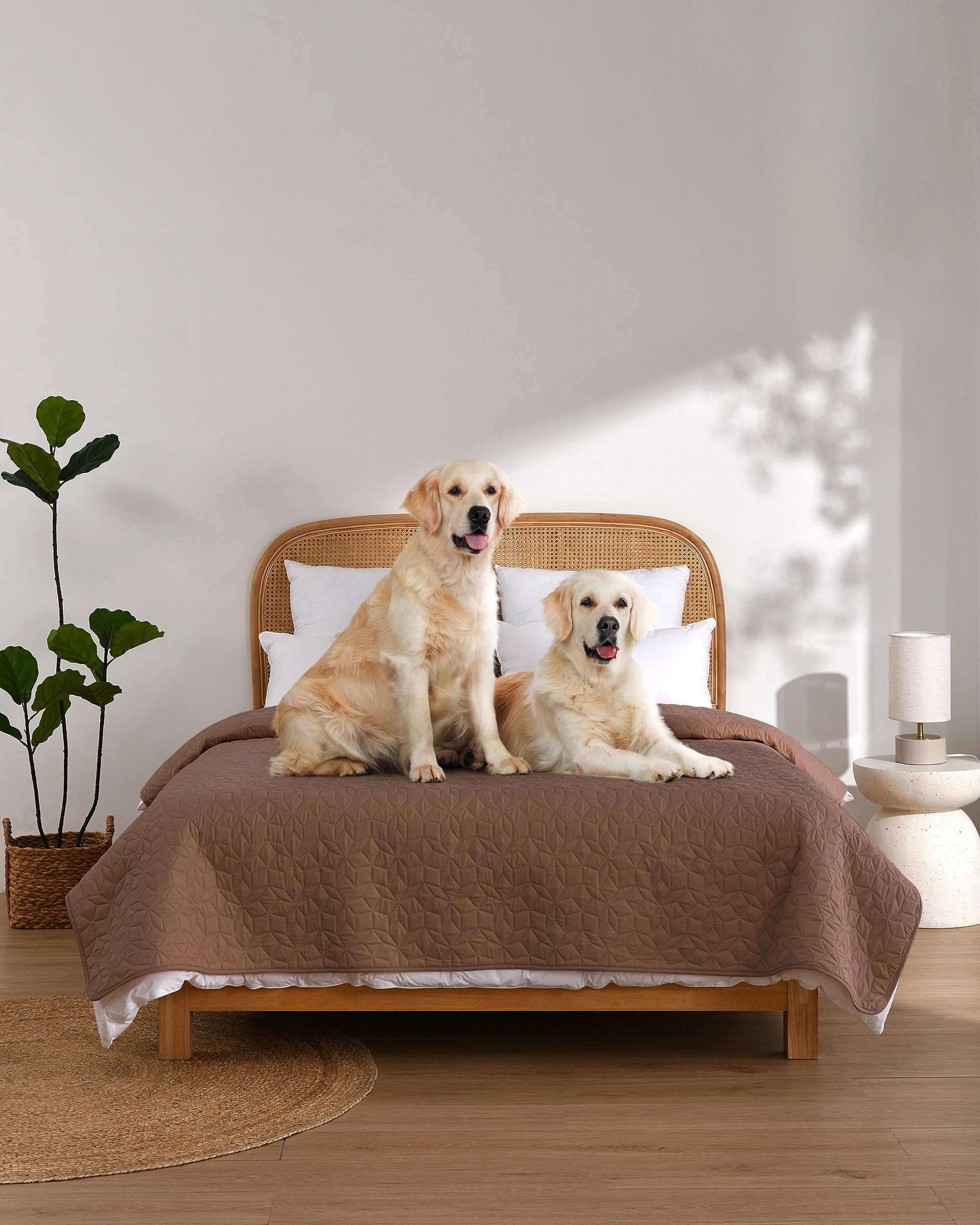 2 Charlie's Sofur Waterproof Dog Bed Cover Protector 208x305cm - King/Super King Bed - Espresso, 2 of 10