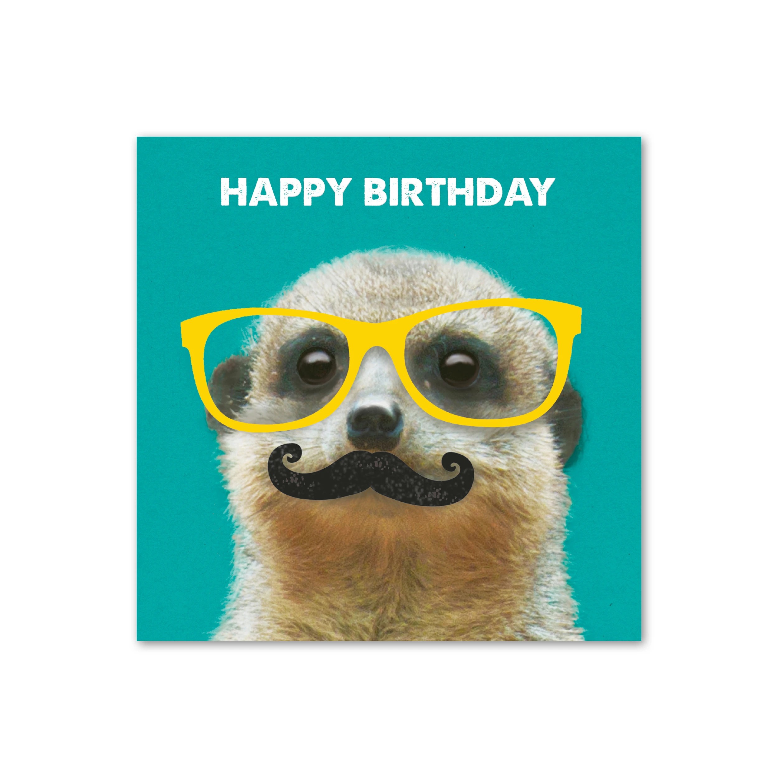 3 Hallmark Birthday Card - Meerkat, 3 of 3