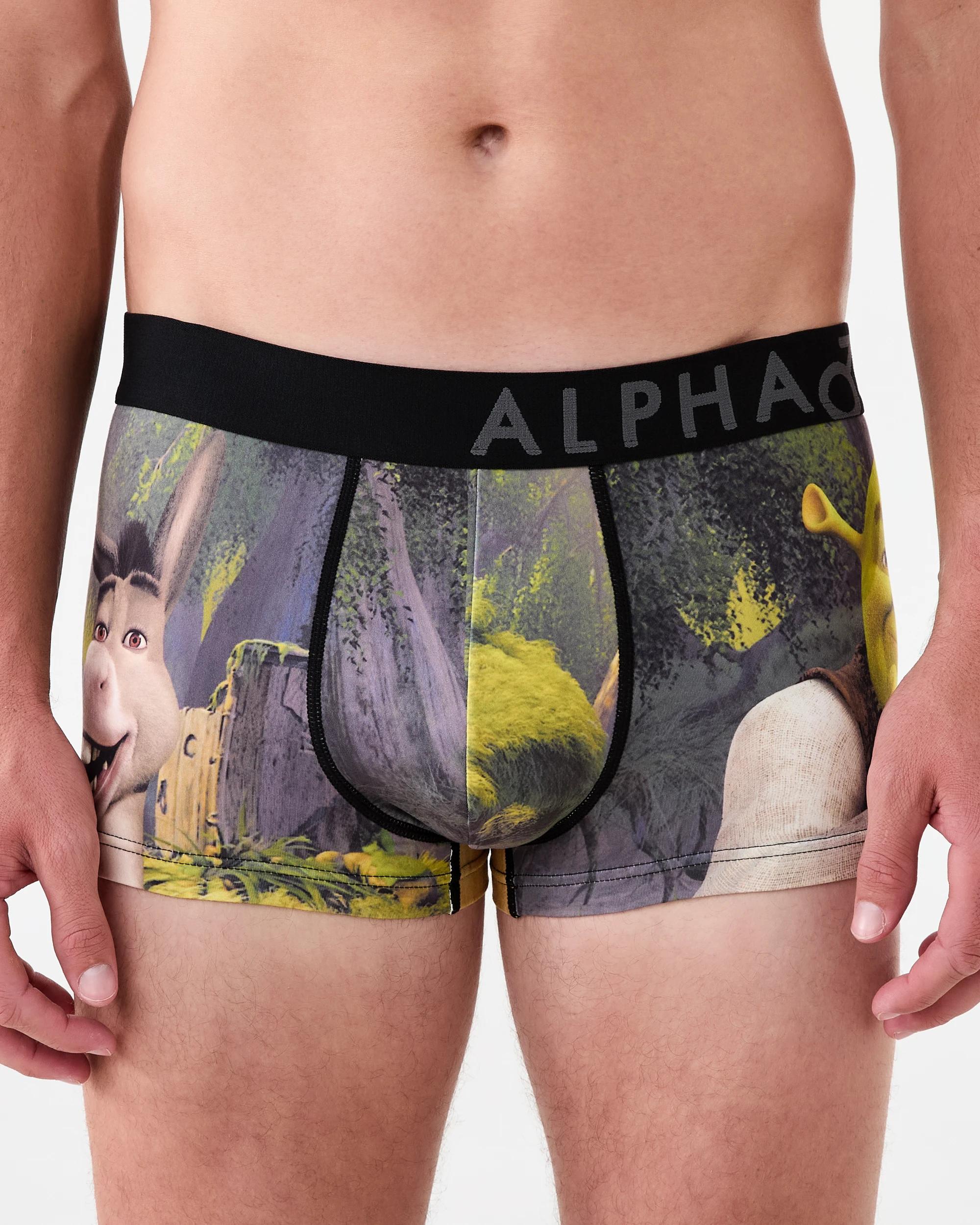 1 License Print Trunks Shrek W26, 1 of 6