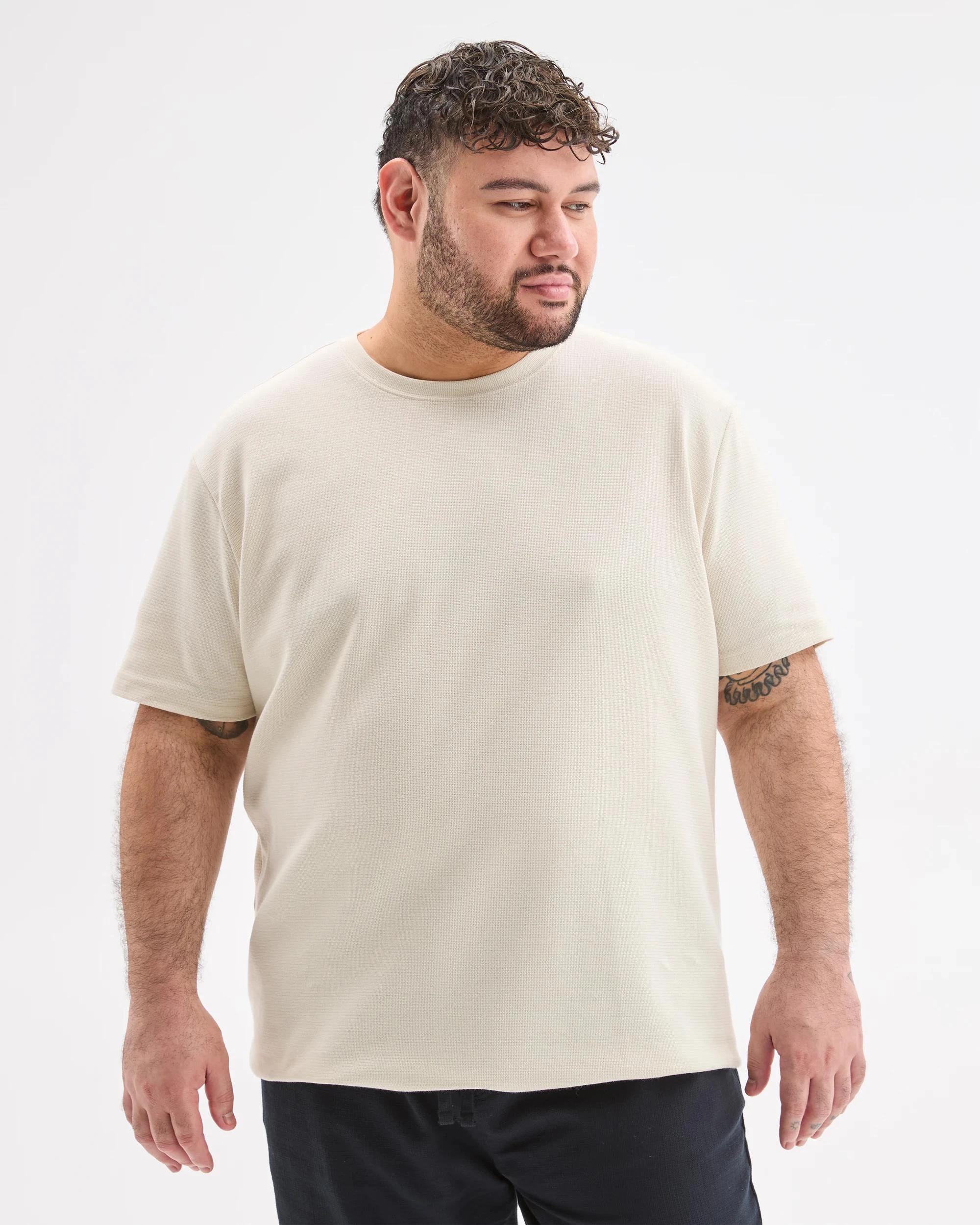 4 Target Plus Size Australian Cotton Blend Textured T-Shirt BIRCH, 4 of 6