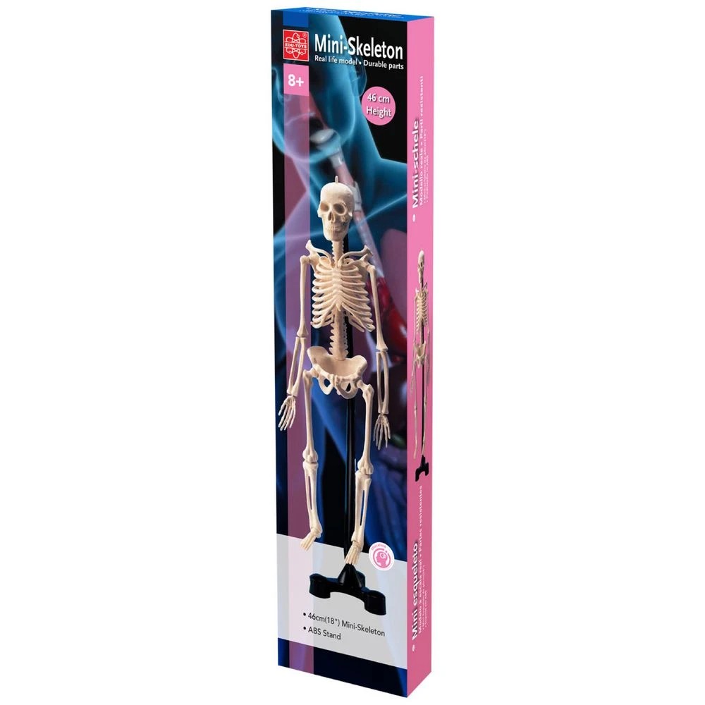 1 Fandex Mini Skeleton, 1 of 2