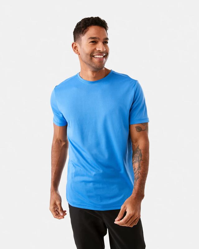 Active Mesh T-s