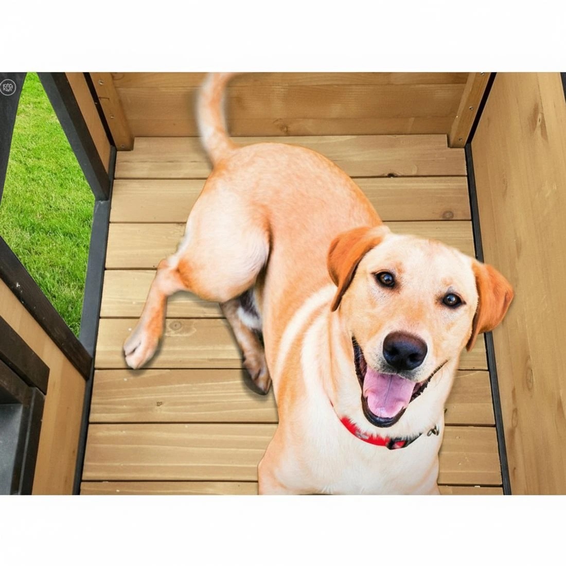 8 i.Pet Dog Kennel Extra Large Wooden Outdoor Indoor Puppy Pet House - Multi, 8 of 8